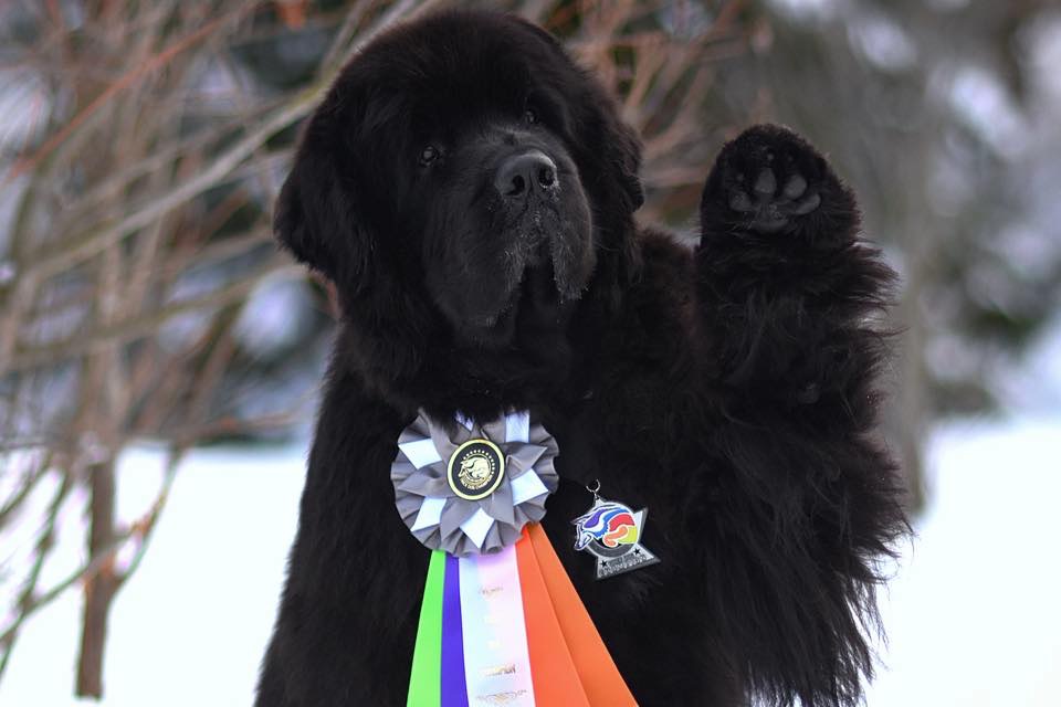 01691CEA-7196-42E5-A699-64A14EF8DCA7