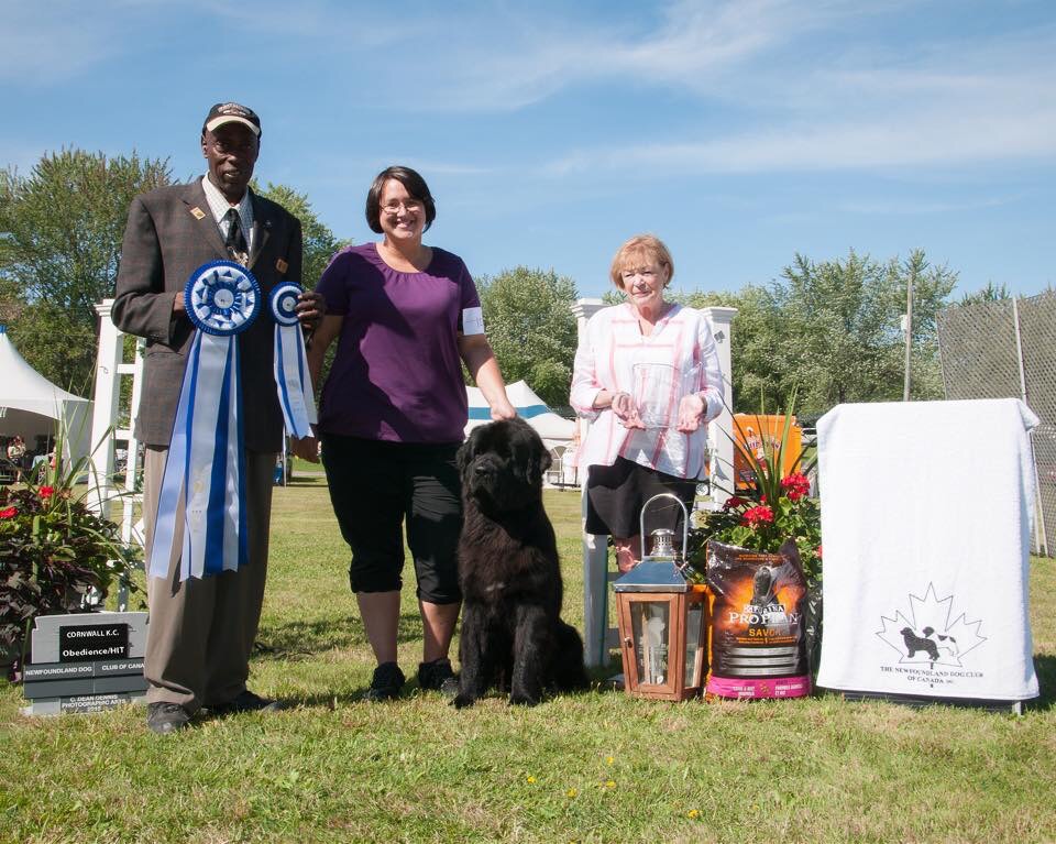 1525BBFE-5C65-436D-8B10-5CA7748B450A