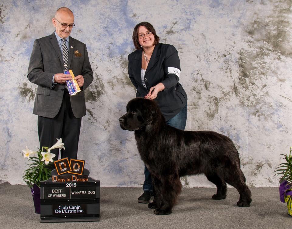 4F333346-D03F-4CC4-BA3F-AD8A5505ED80