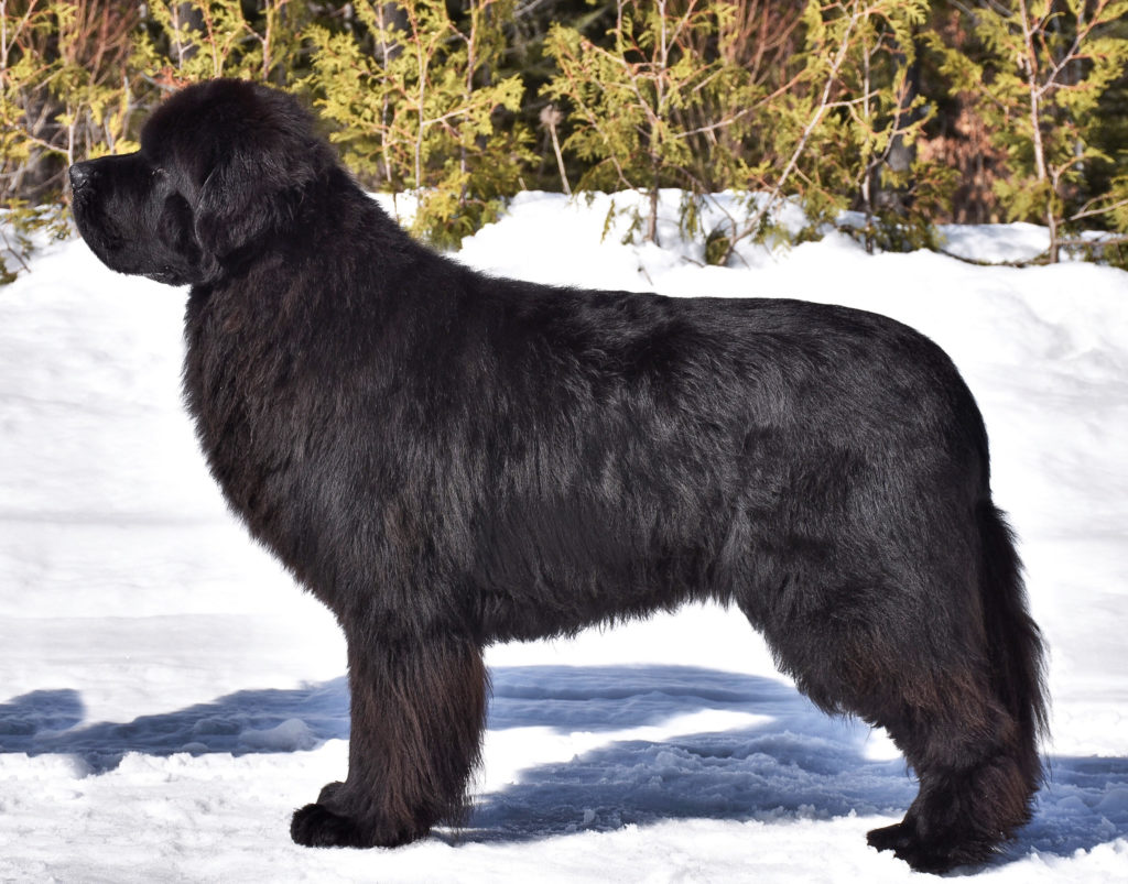 8D1C89E8-7380-4F12-AA5A-C7FDA82AC8D2