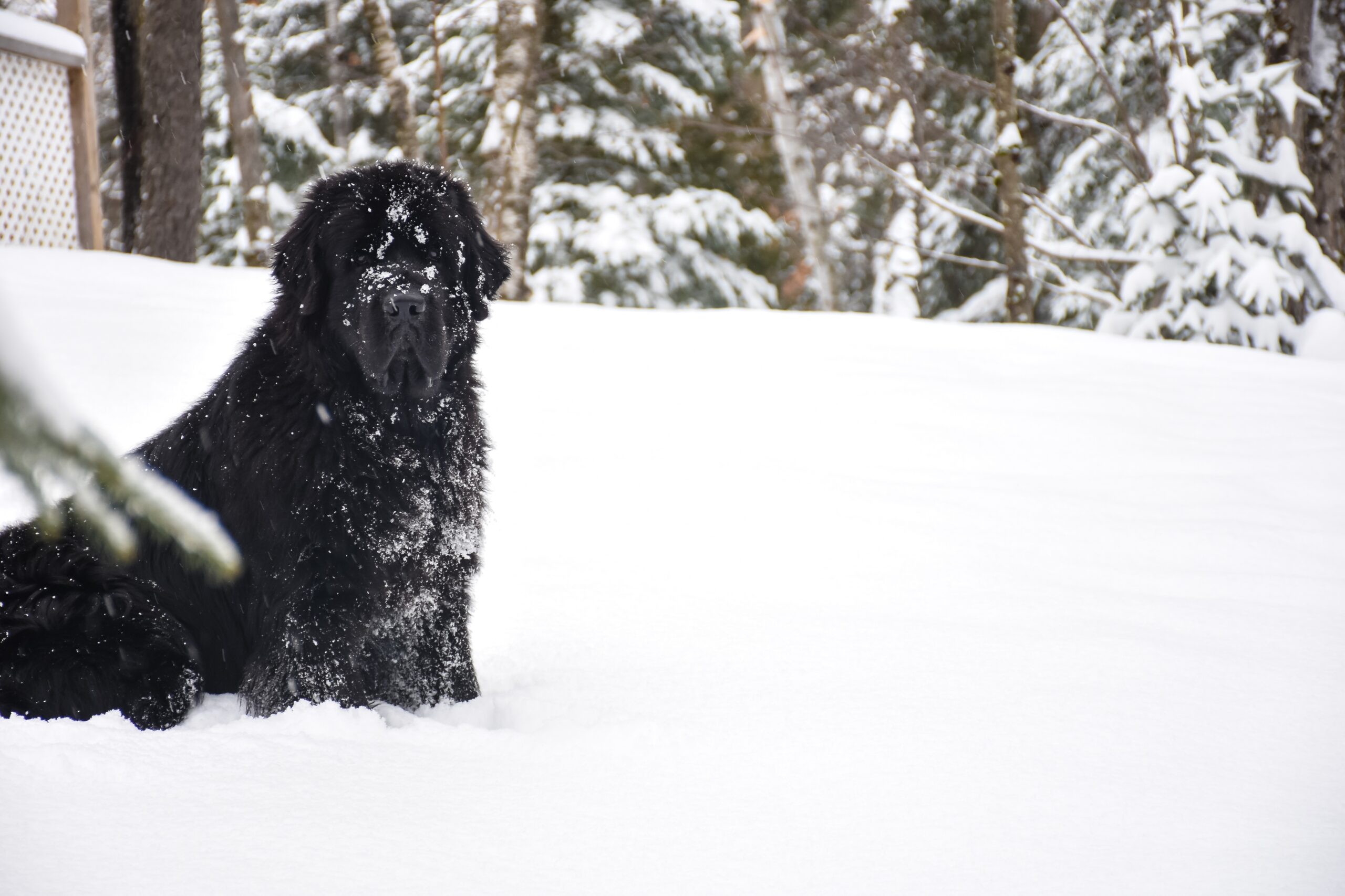 AEB169C3-80F1-4920-9714-86B7859B9C19