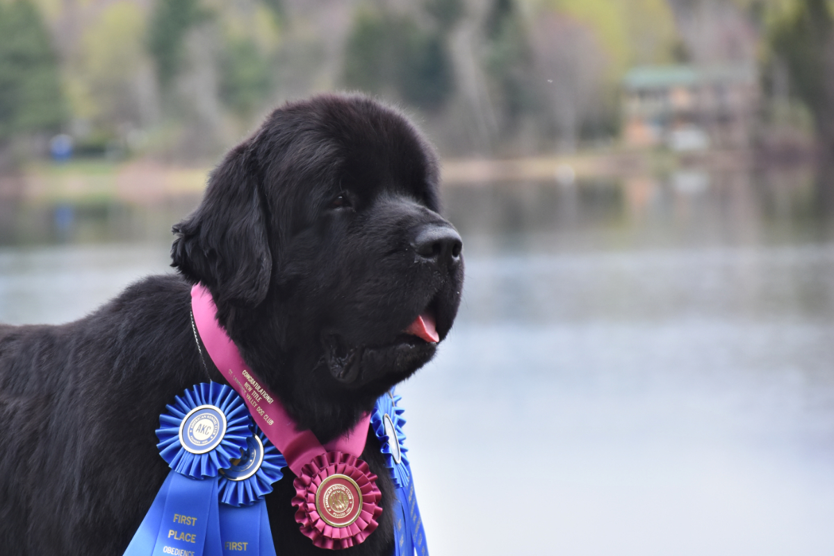 B15B170C-703B-485F-A28D-9290EFA85338