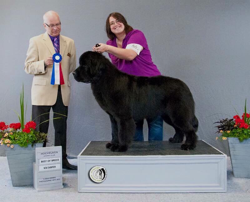 BE673BA1-2A8A-4F4C-9902-A7FEB10641C4