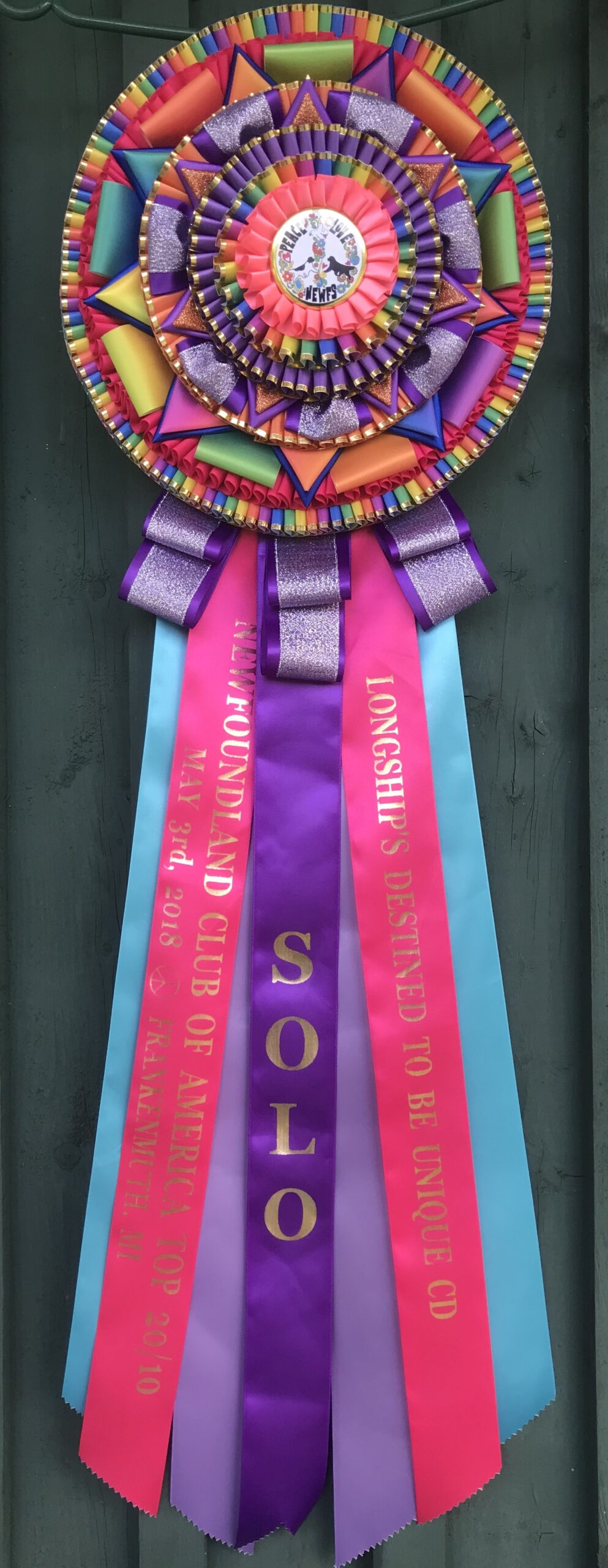 C71948E9-EFA7-463E-9FD6-02BC3A1F2420