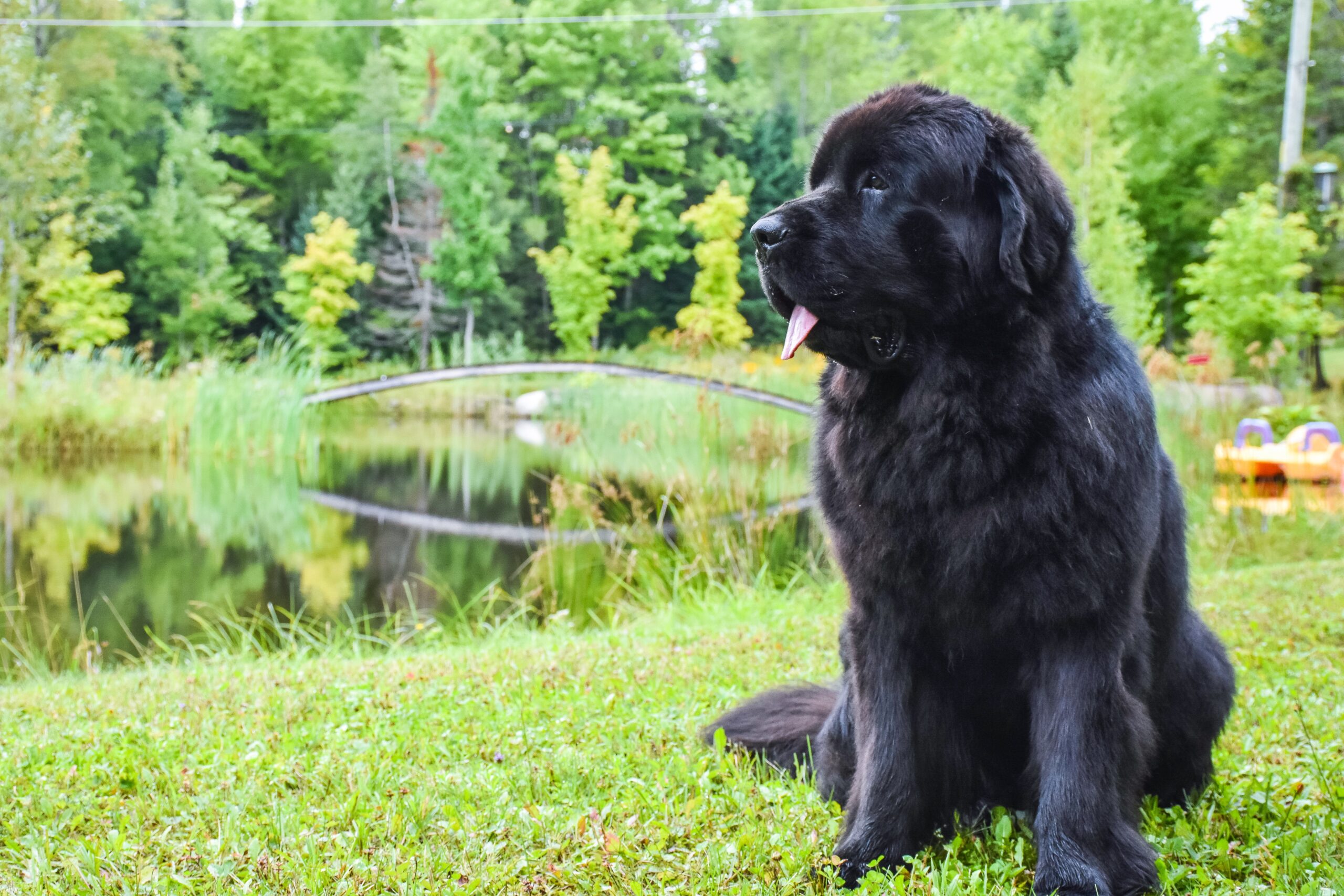 D7A1C506-F1FB-48E5-ACA2-9610E2DD2D5F