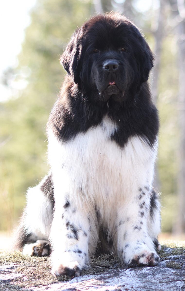 014DE65C-071B-4A7F-A0D3-AA4EF412D478