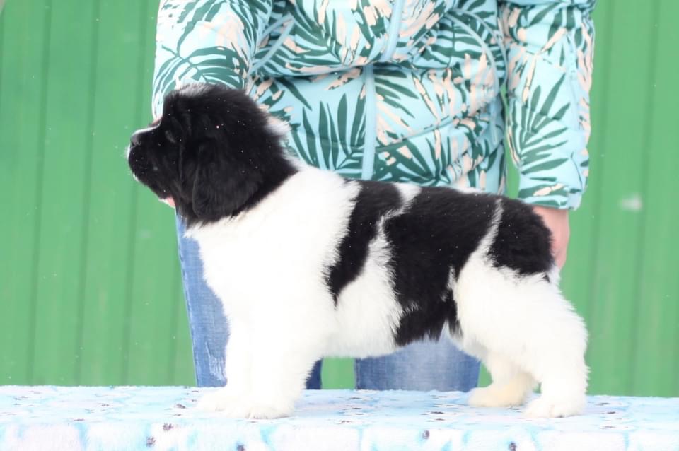 221A1204-BFD3-48D2-B306-699A8DD5DED0