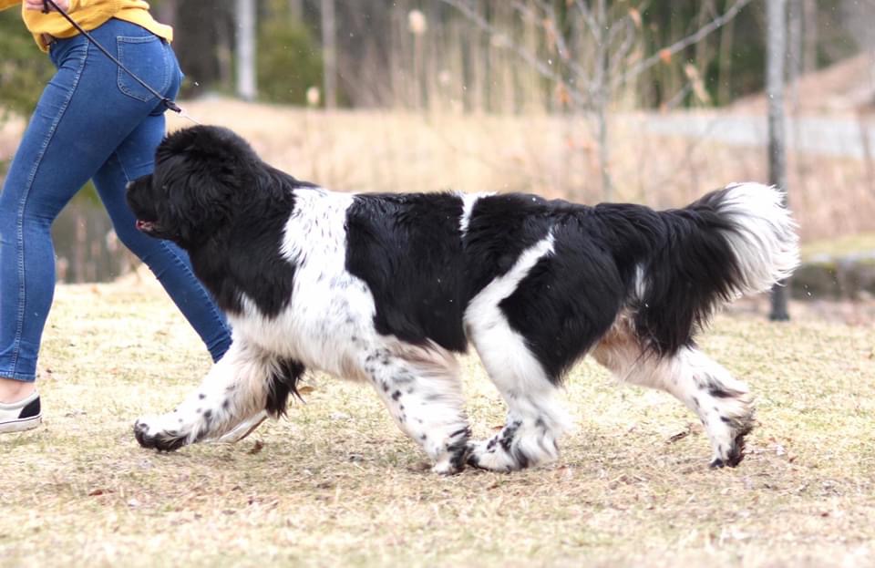 28CA6779-A16E-4504-9FE0-76CD2D4A85A9