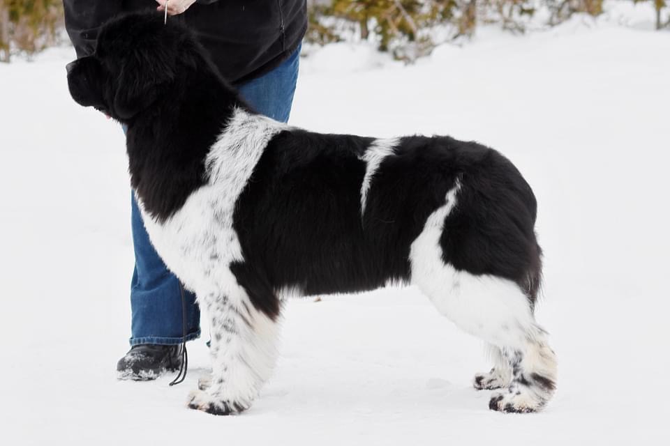 2ABDE639-9F65-4611-8FC5-C5A7F8DD5876