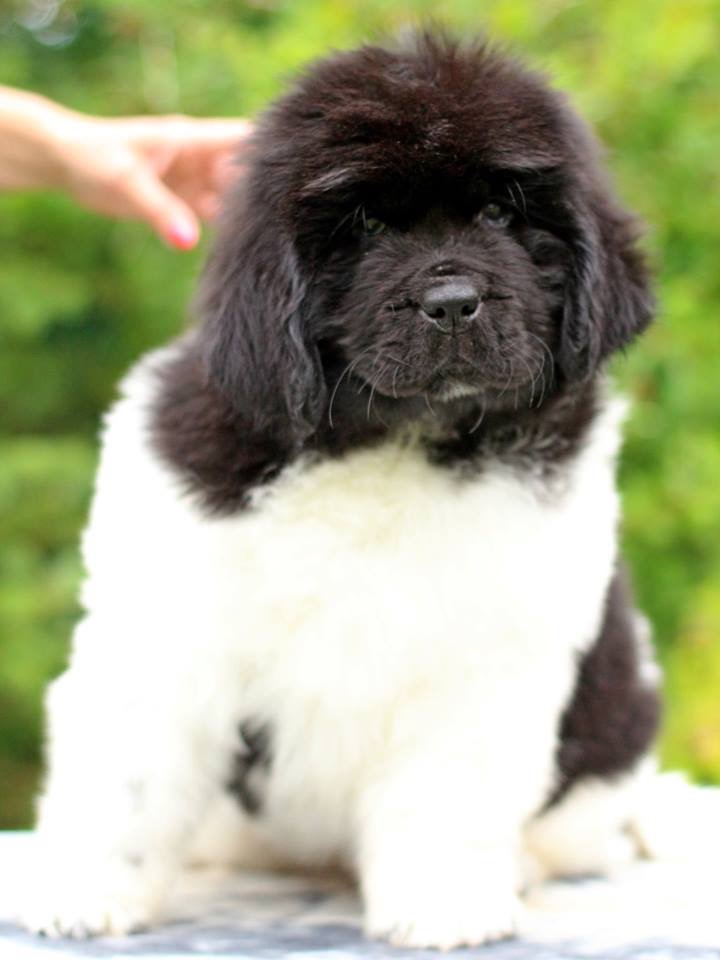 2AF9821F-5928-48DB-B138-EBAC0C2D898E