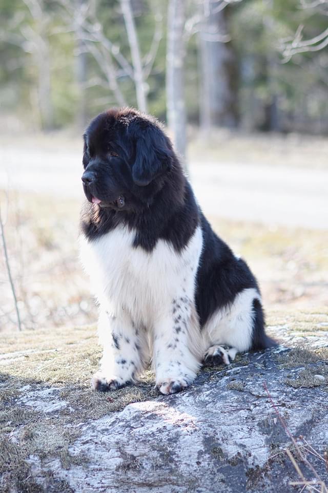 2CBCDF9A-378E-429F-8258-75909DF772AA