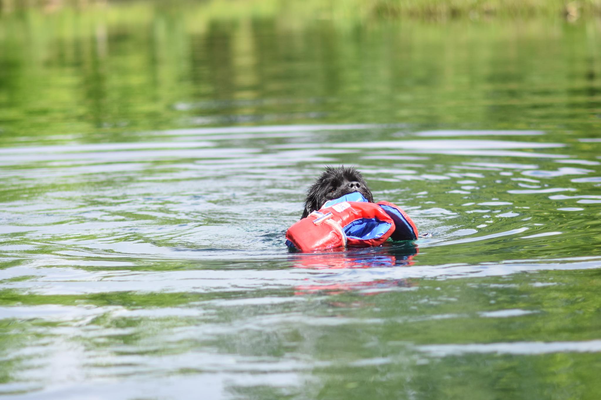 44EEAFC3-4E6D-42F8-83CB-6156DAFD2A31