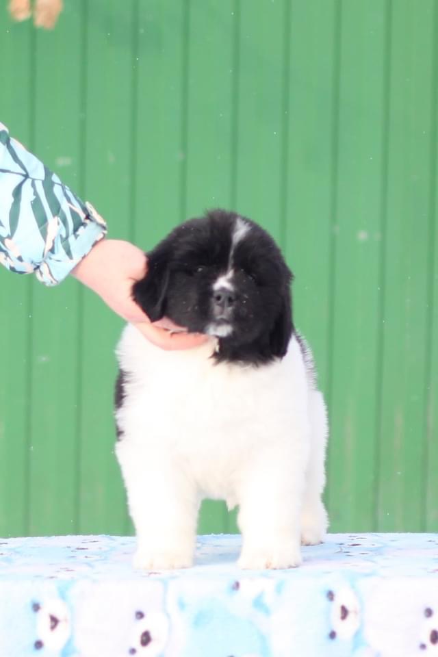 50FDB8F2-89FB-4178-89E3-E09EE1952EBF