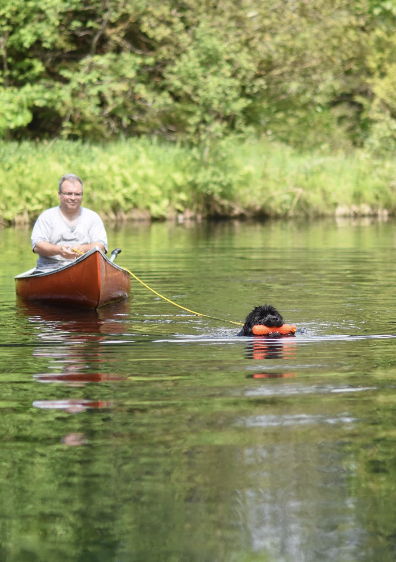 5282E88D-AA7B-4F6A-9E1E-DE7C433BB633