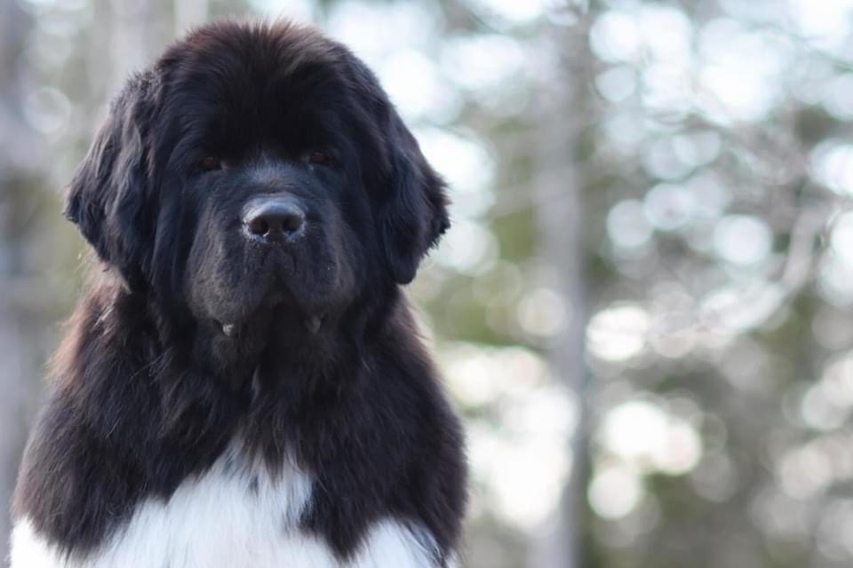 53DA6333-02C5-42F3-9AC2-B7A092E55DC8