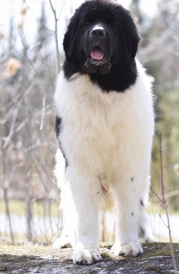 56D6BA03-2510-4D84-8D66-FA25B14EDCC1