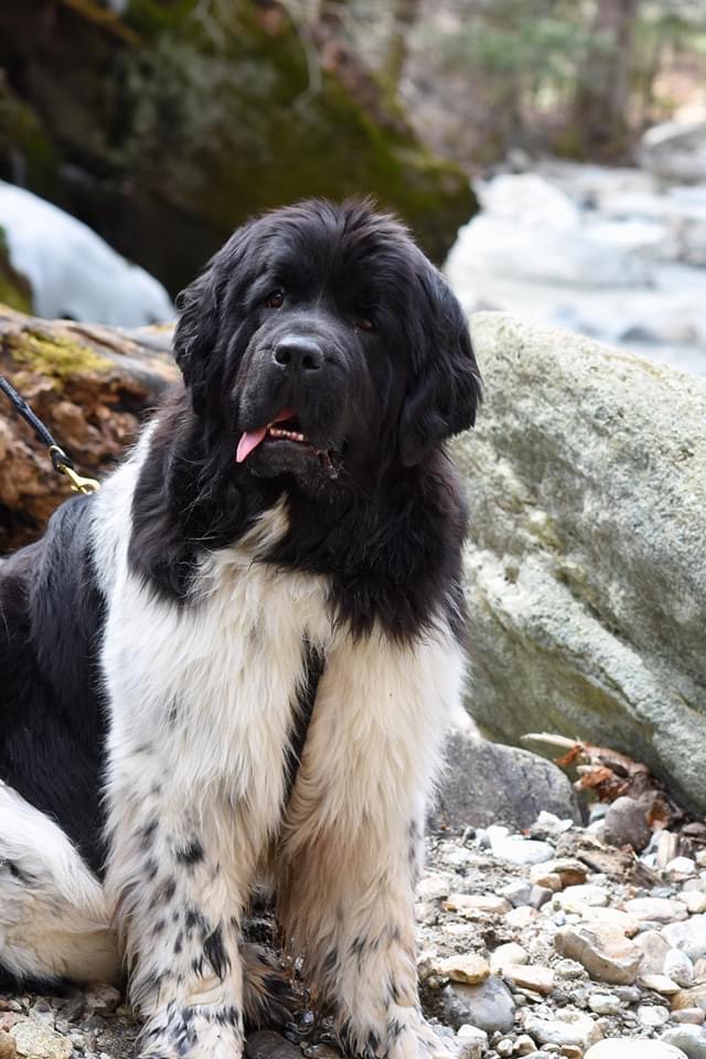 8451A179-4515-4000-87BF-B935CA69018D