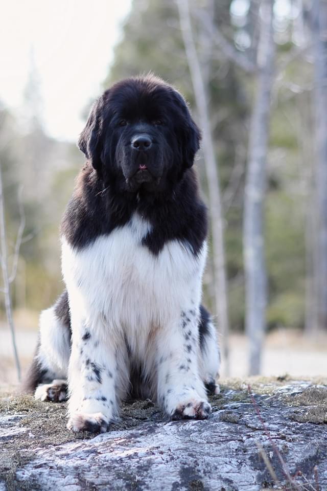 97A74670-7076-4F1A-86ED-E75968E65081