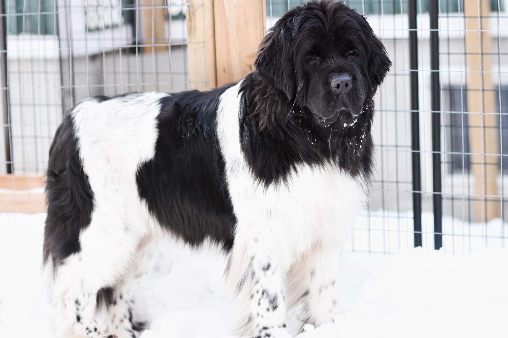 9E65DCCB-E599-462C-9F87-EAECA869A2EC