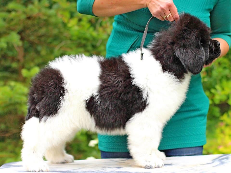 A2FCF3F0-78B4-417B-BE45-10E738B8C2CF