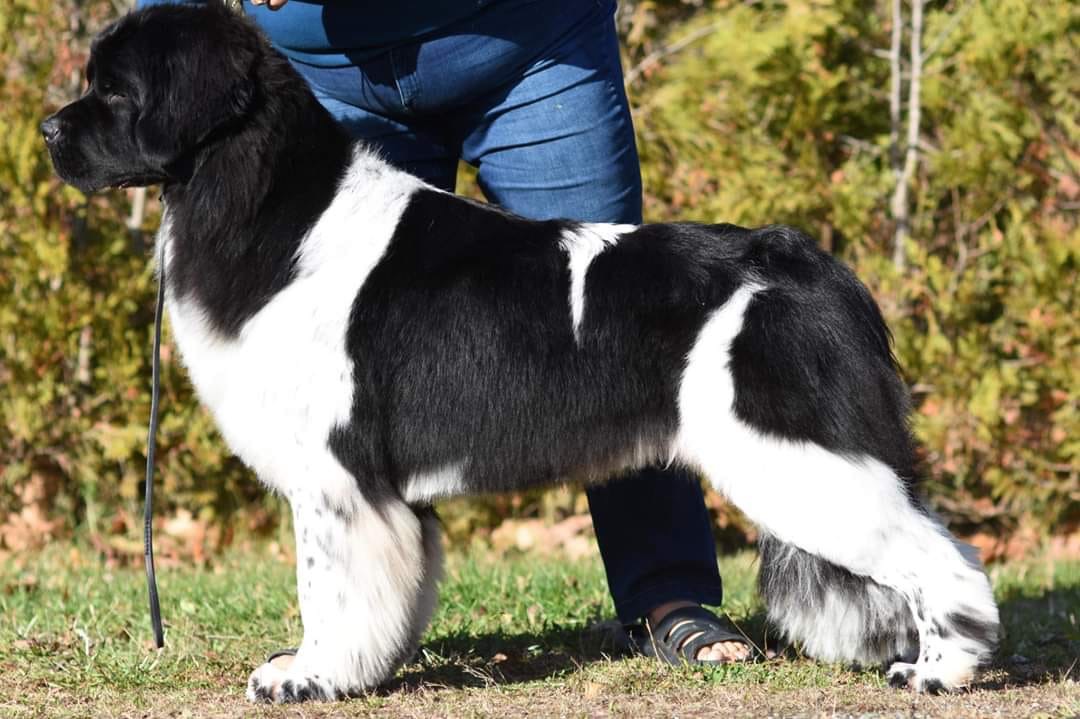 A3DD032D-7C14-416A-A11C-CF24500C23BC