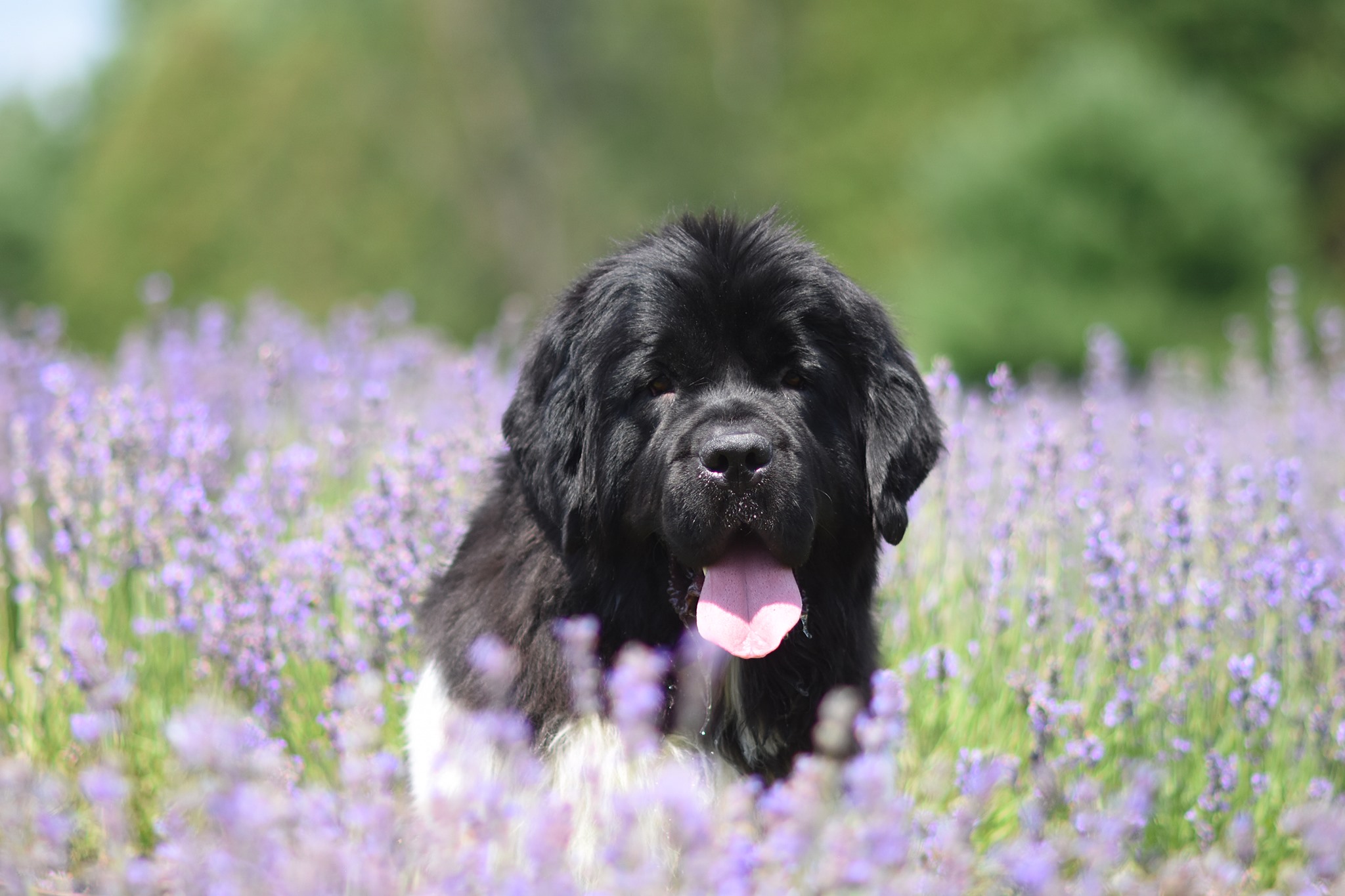 AF01E285-66A0-4AC0-B8B7-4E640277EE31