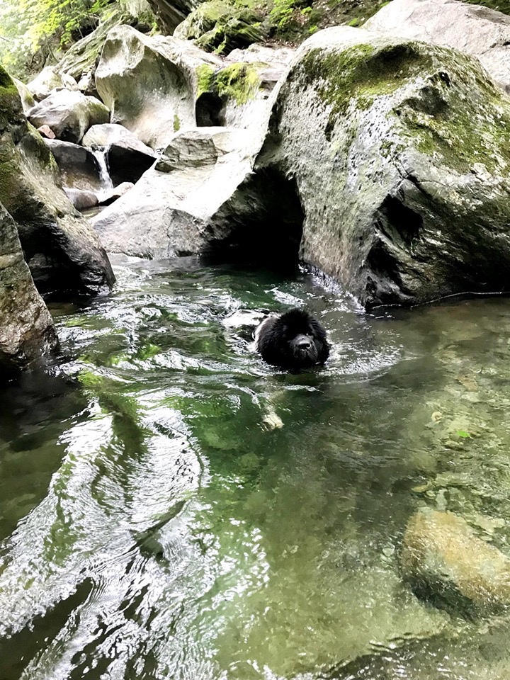 B1FFC33D-A4D6-455B-A698-830B5204D3FA