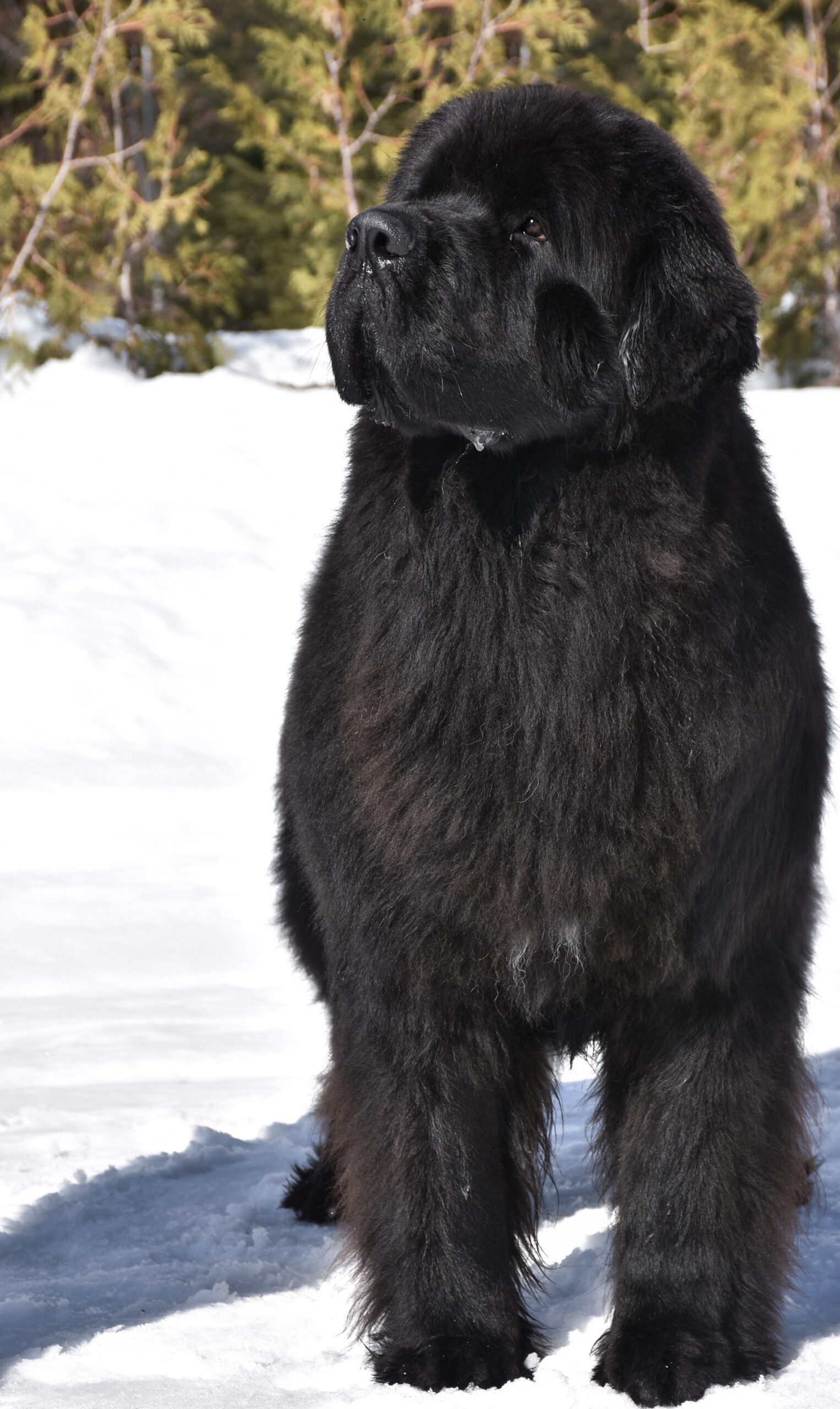 D90FBEDD-B298-4B21-A4D4-1B7F22E88C5D