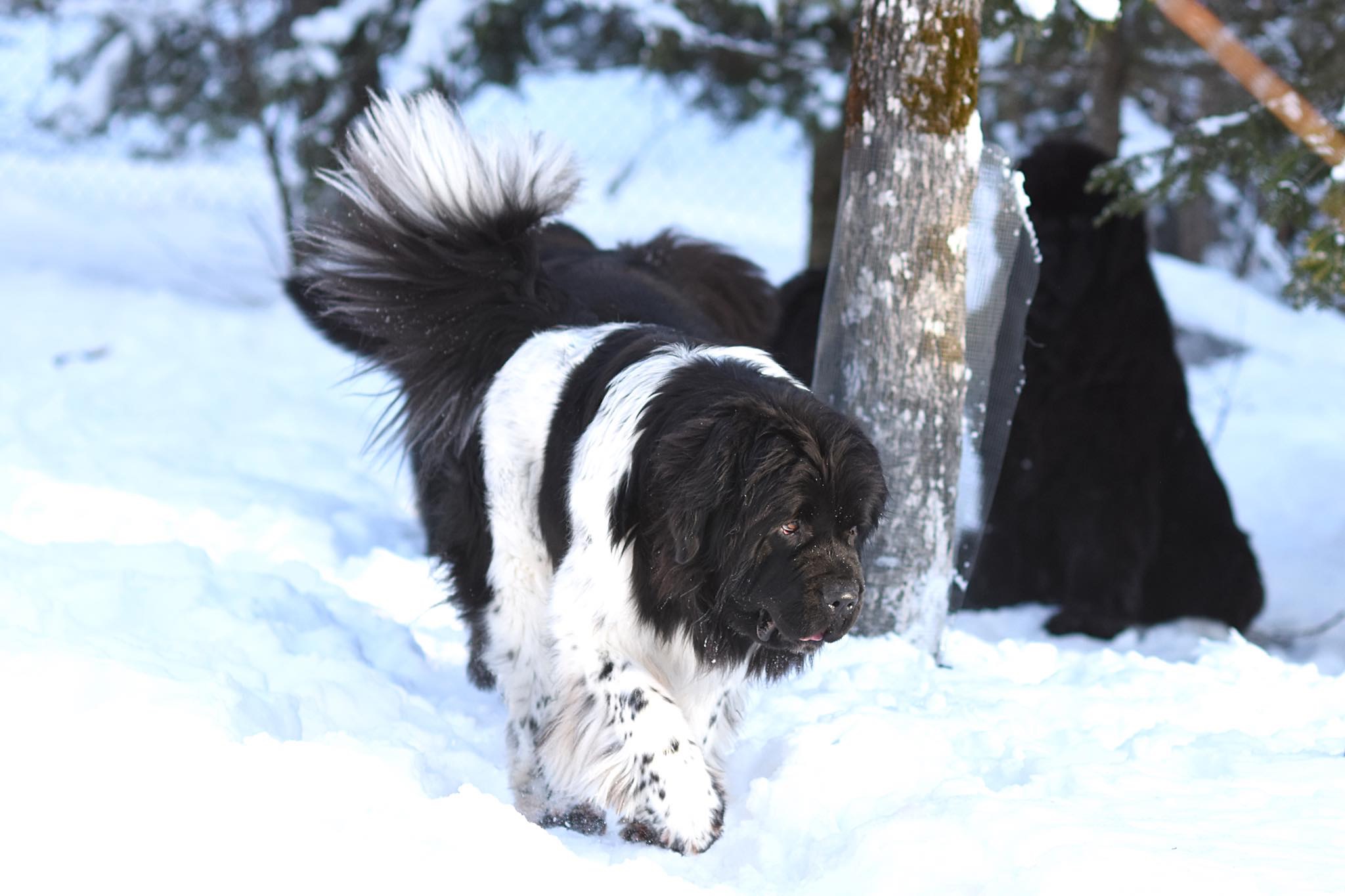 E86AFA90-66A6-4726-9363-0CC531A1331E