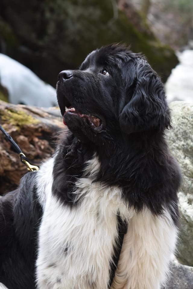 E9801BE8-A169-4D87-85B7-2618283EE53B