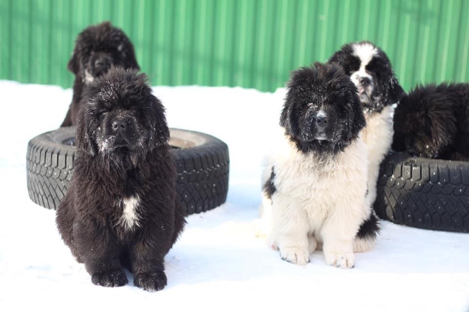 FBCC2E4C-8862-4893-AA83-A72555F09356