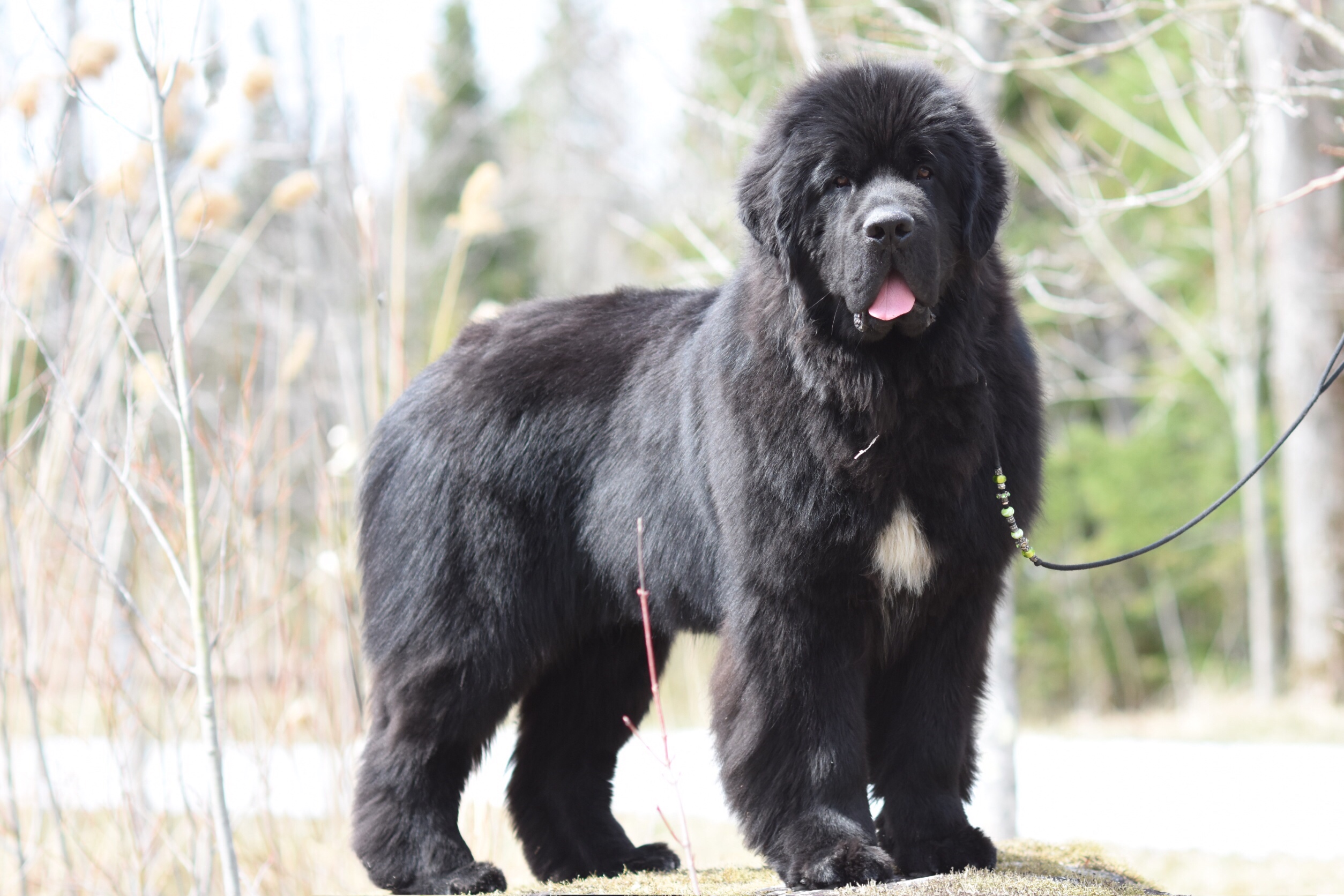 379FF104-0897-4A1C-88C3-F0ACF00AE9A3