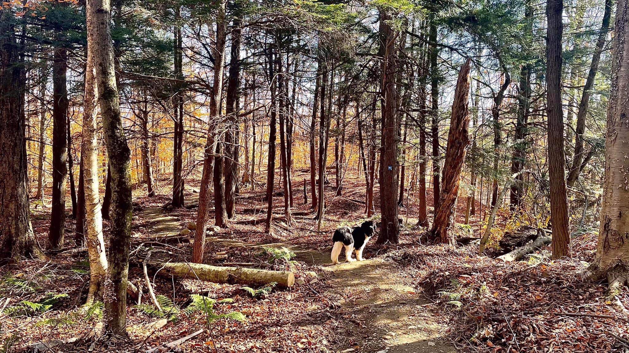 4DD33230-F94C-47A7-AB47-FD32B7FAD638