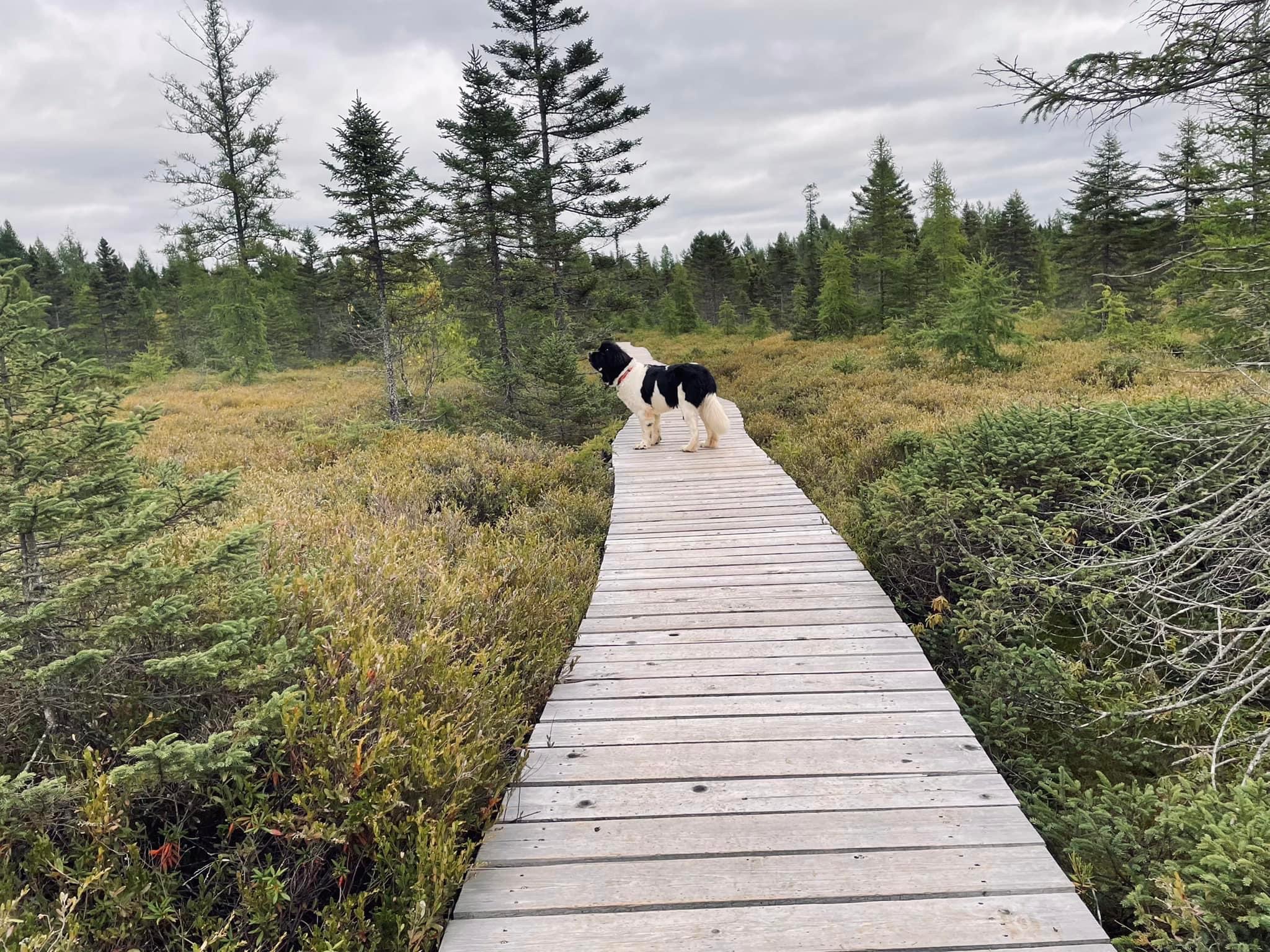 FE5A3D30-7948-46E5-A803-0295DDA30E81