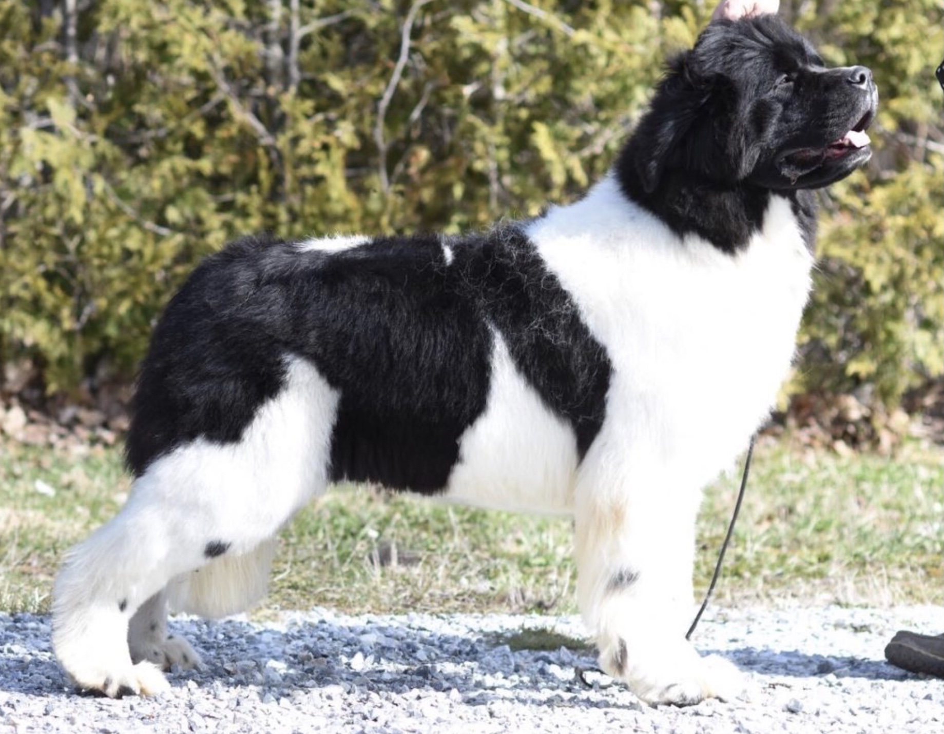 EBE664CE-56F0-4DEF-B90E-EAEF77A8847D