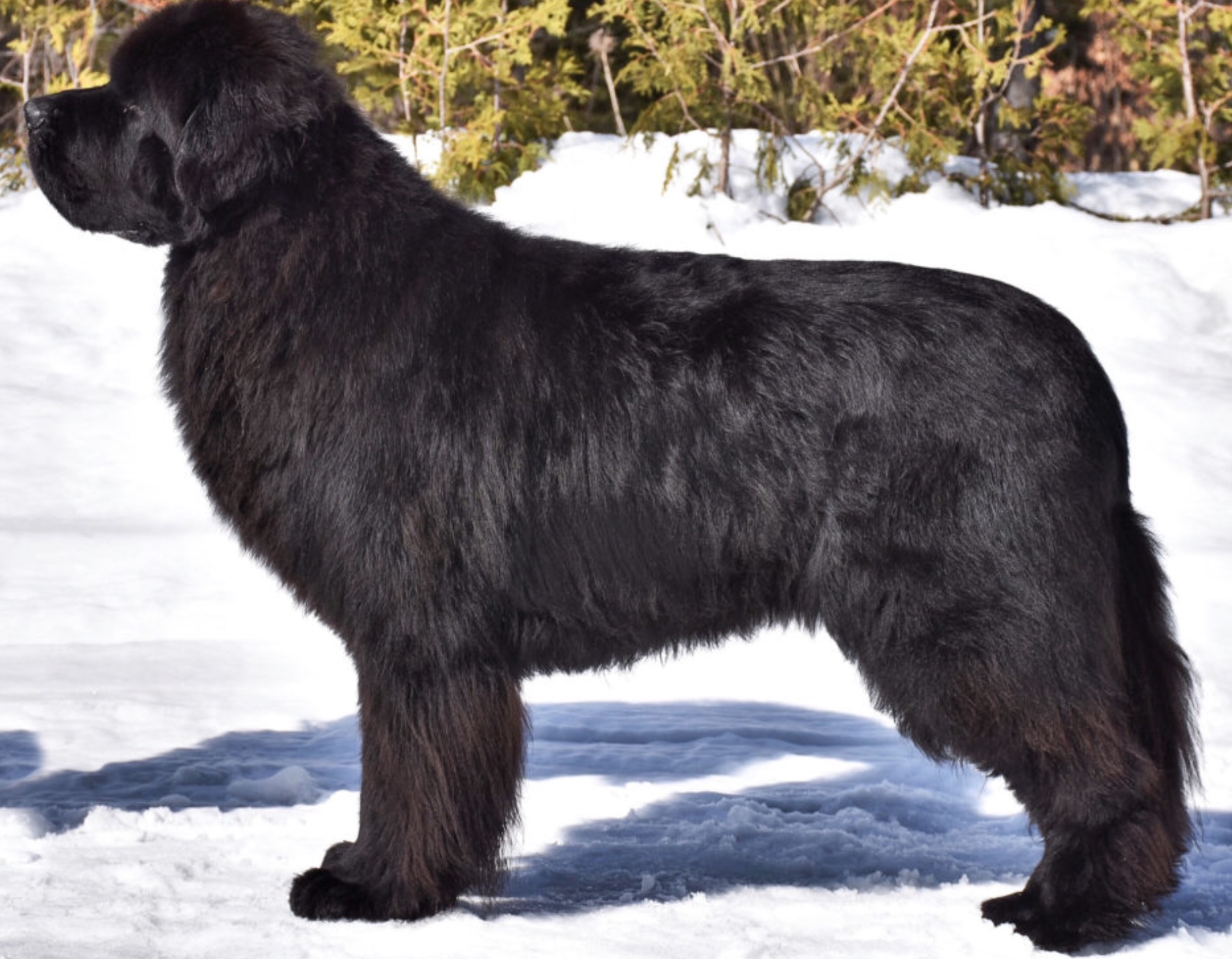 FA79EEF3-6F8F-413B-9579-16126EA72932