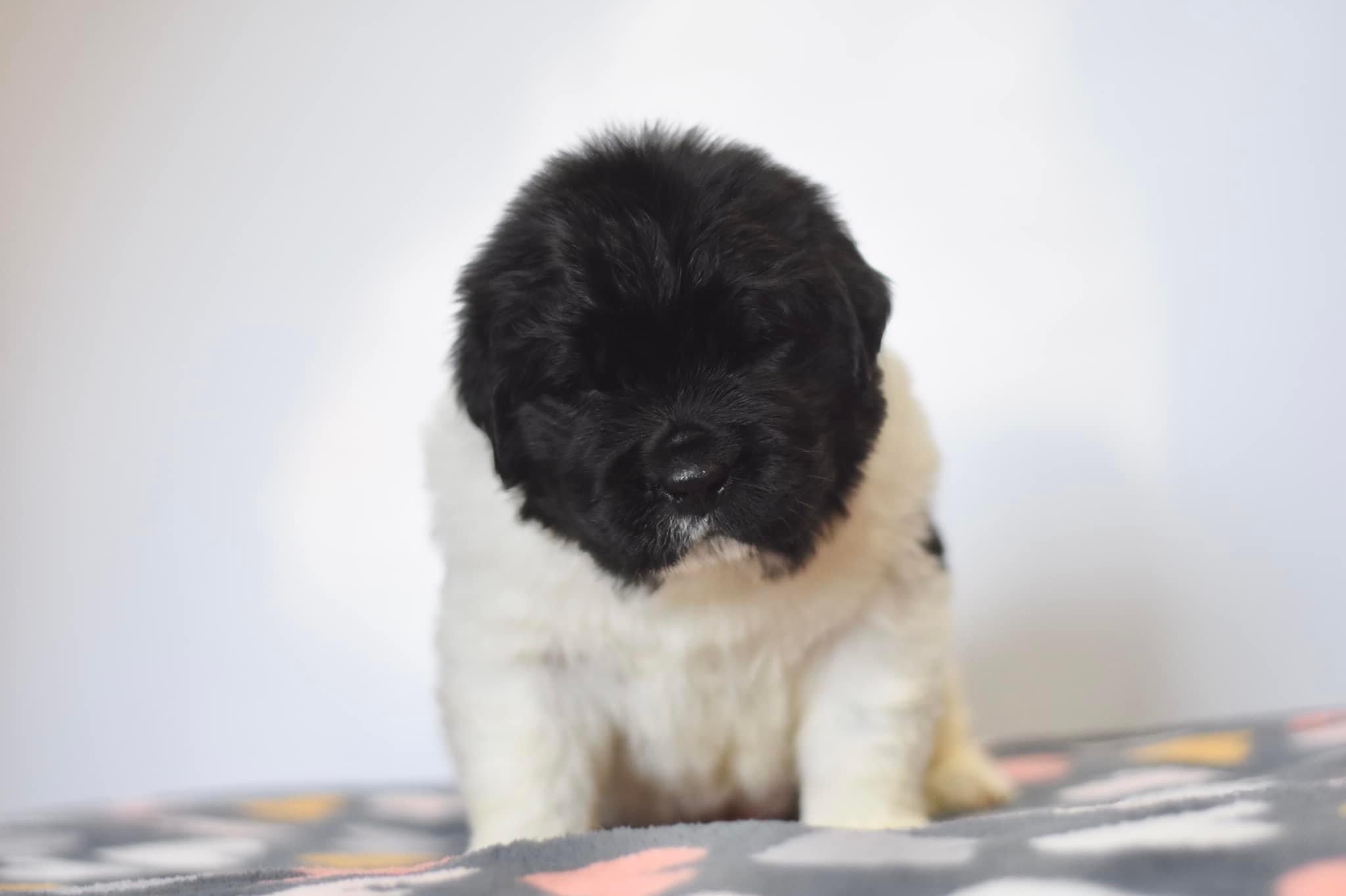 0CA6DF7E-A8F7-4F6C-BB60-C538260A575A