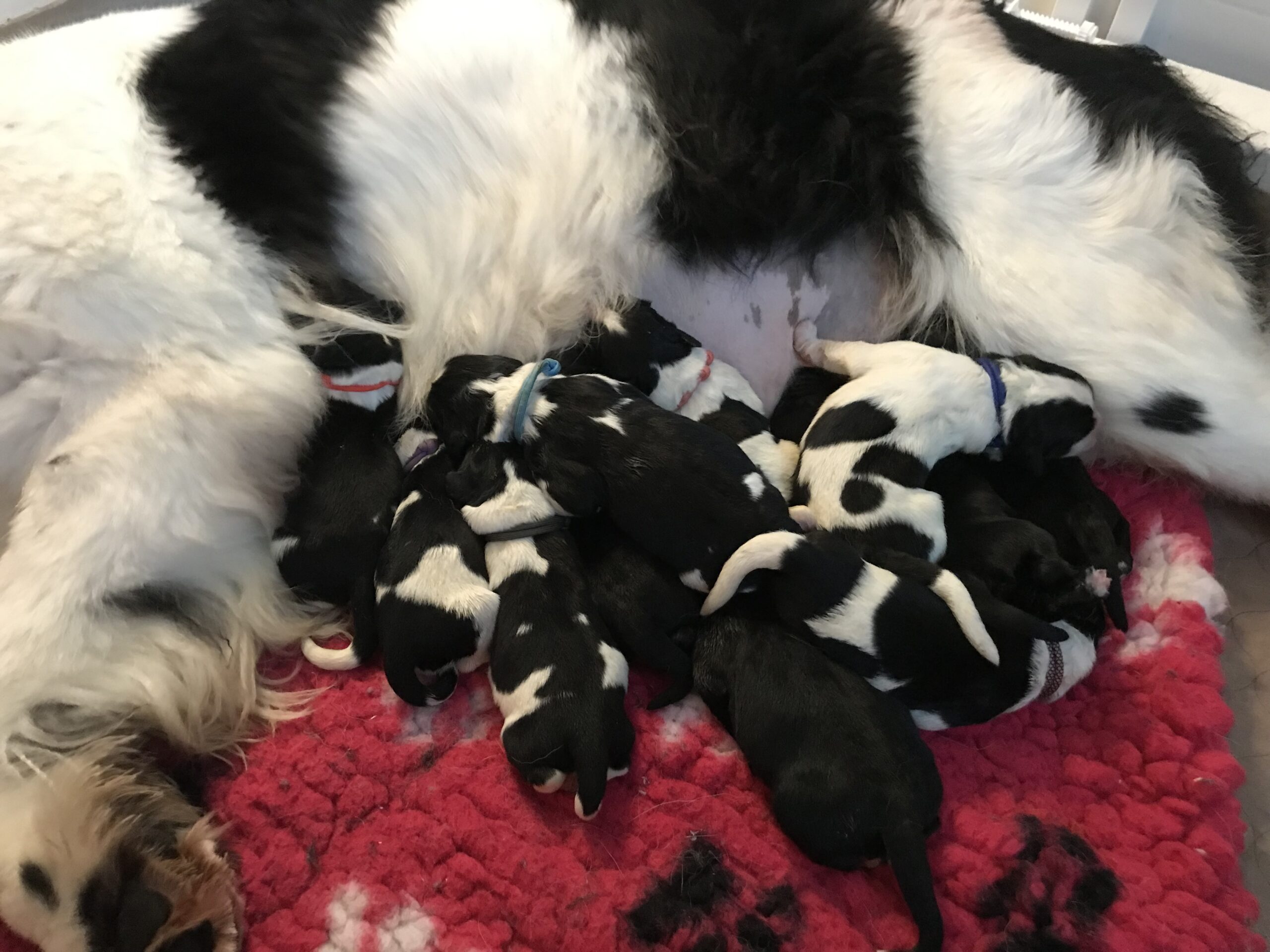 16C775D0-4344-42DC-9F70-40E0EDD782CB