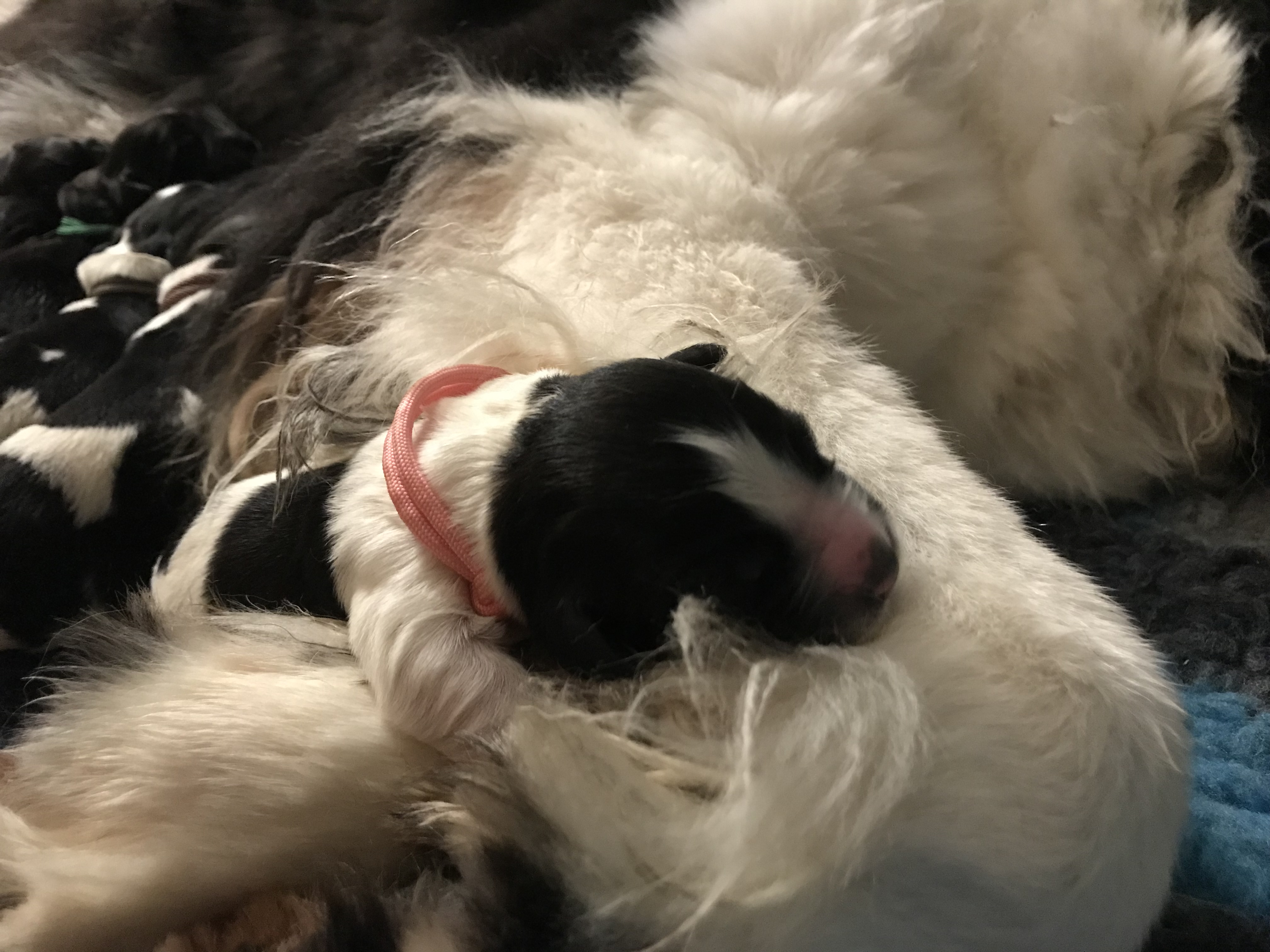 22421A92-961A-4923-8861-E9A4373A6B49