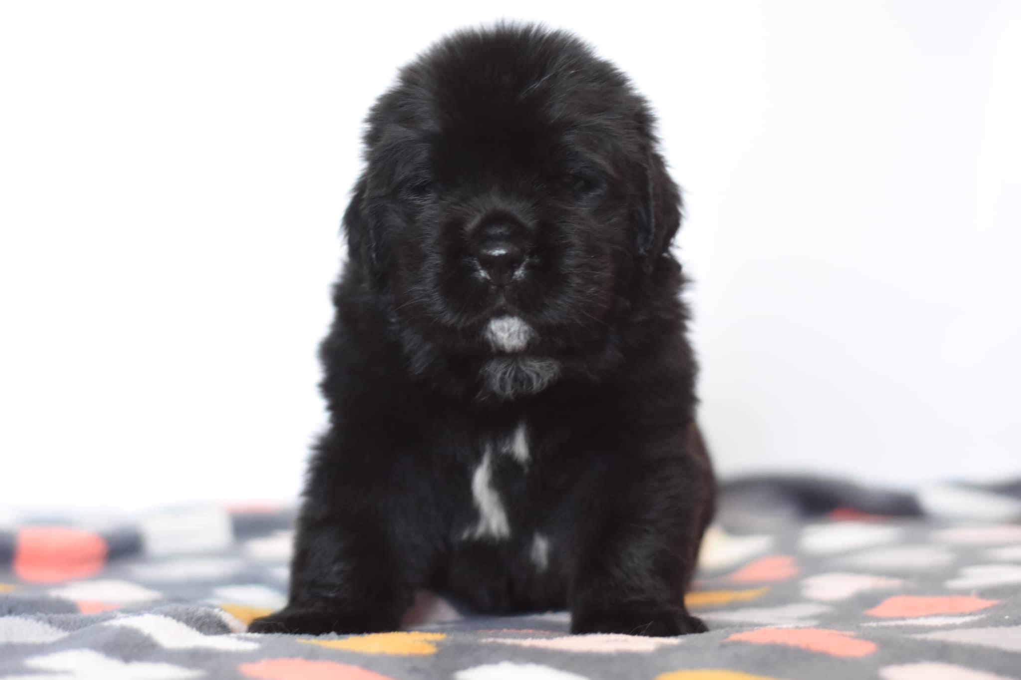 62919D95-5422-4811-BFBF-728B02847515