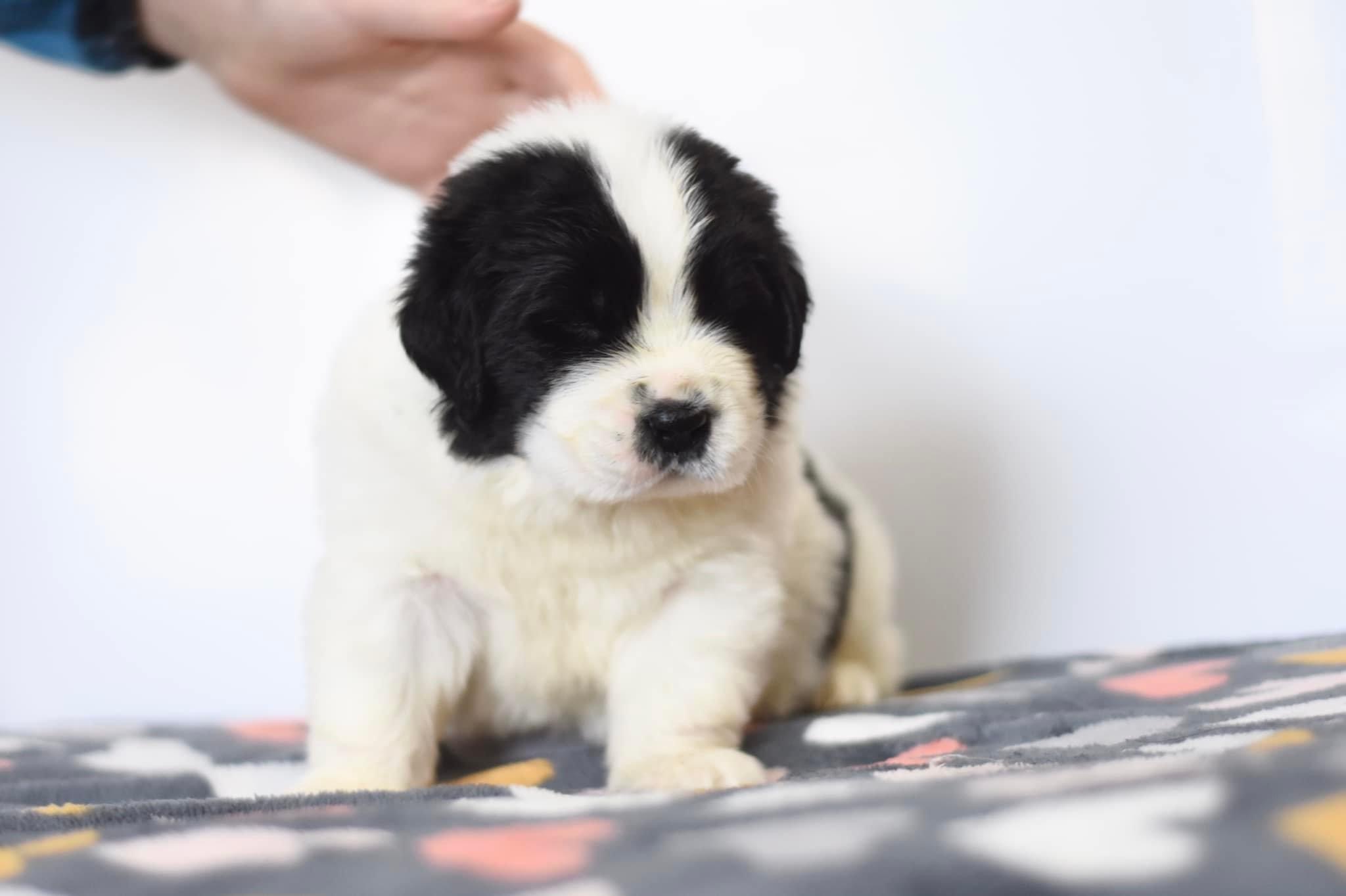 8C4DCF05-6ED9-47AD-B6BA-599FDF5B9EC7