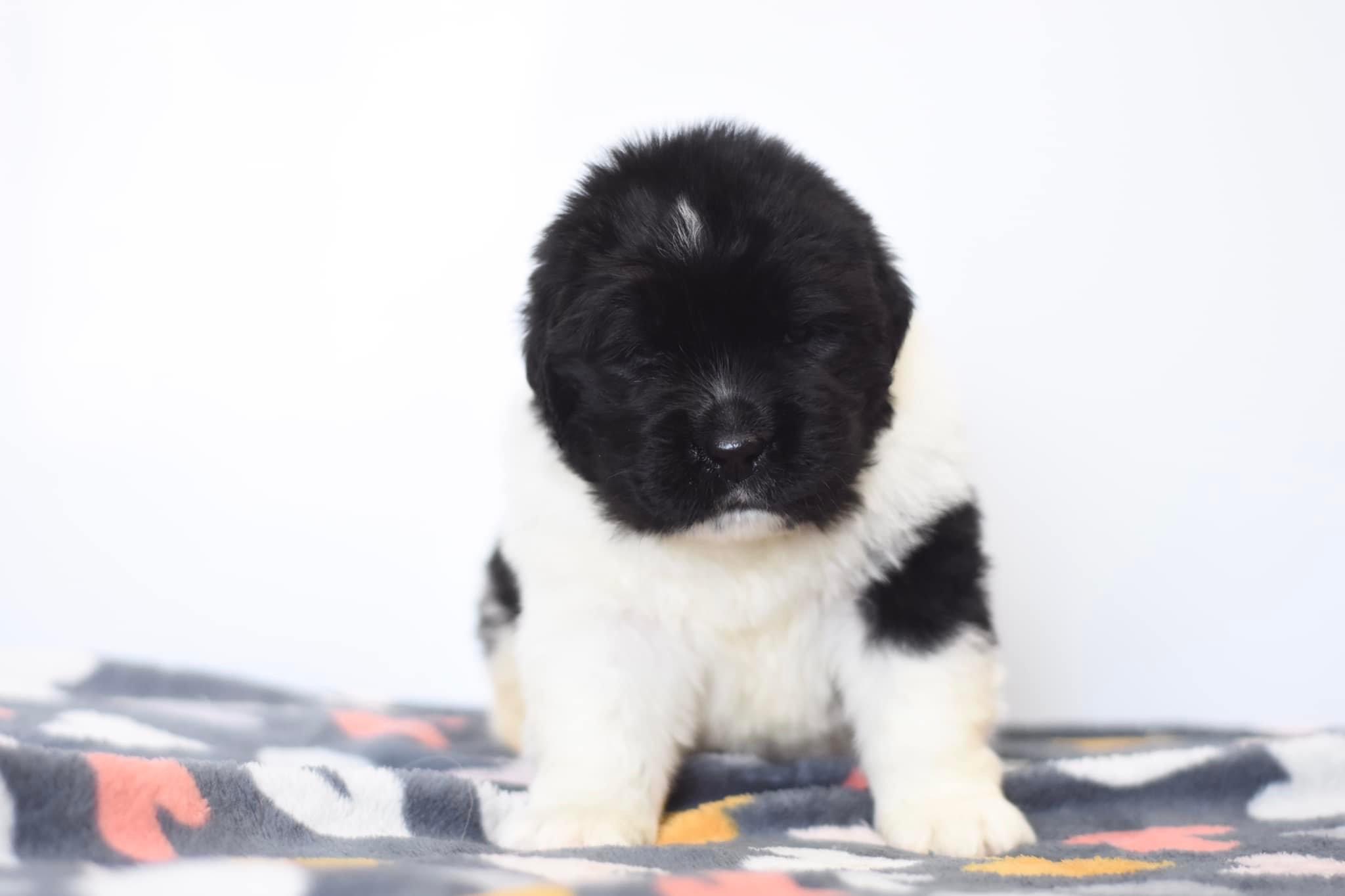 CD2613F1-5404-4BE9-9863-966A1F46D731