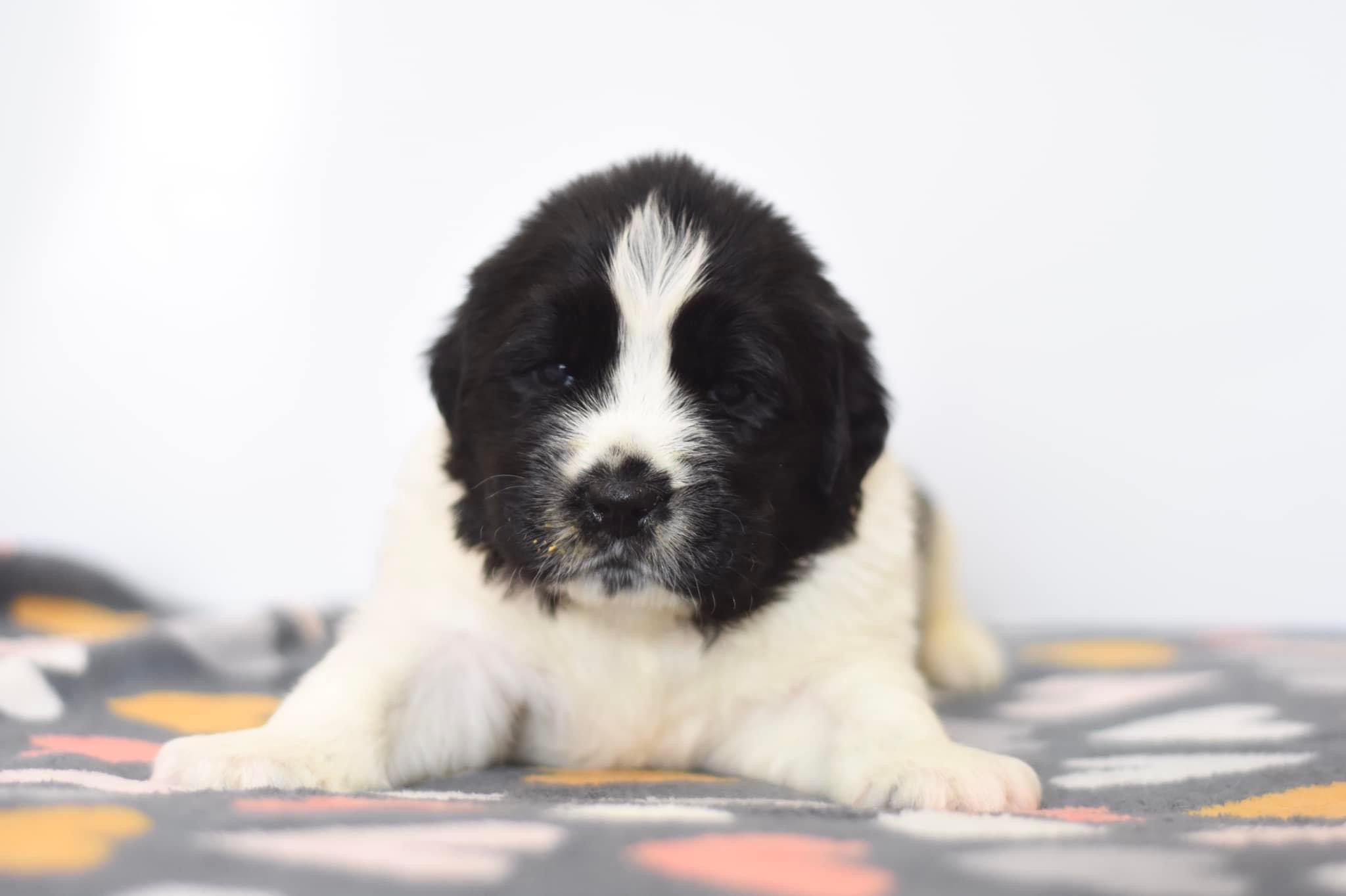 E6BE61F2-4AA2-42B8-A04B-C5CF56BBE0CC