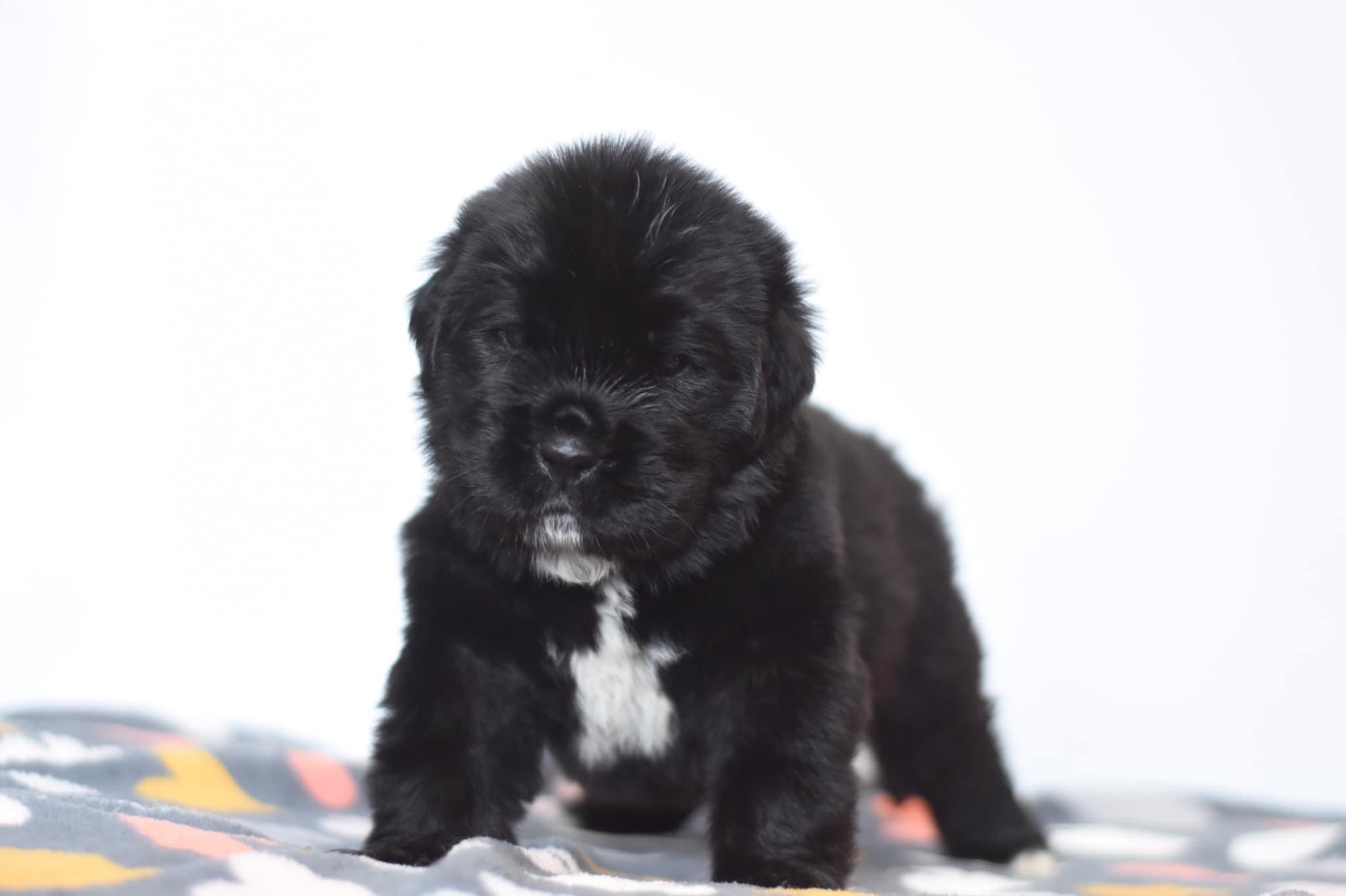 F10BC45A-1D0F-4575-9B09-4349F3B8F100