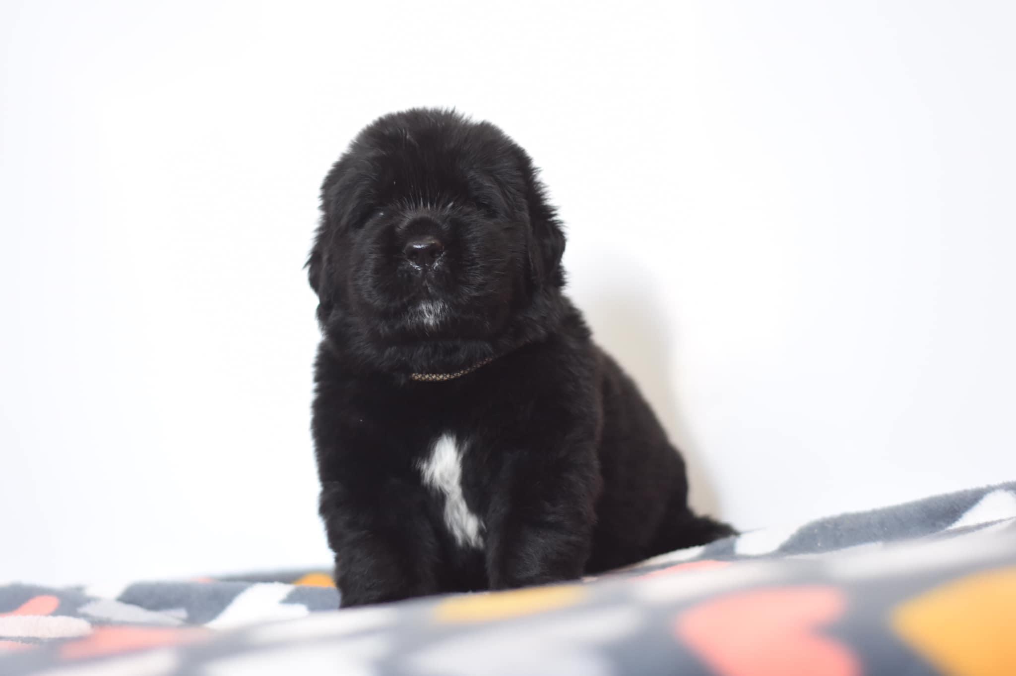 F4E54E4B-C404-43C0-950A-BECE21EC3CAE