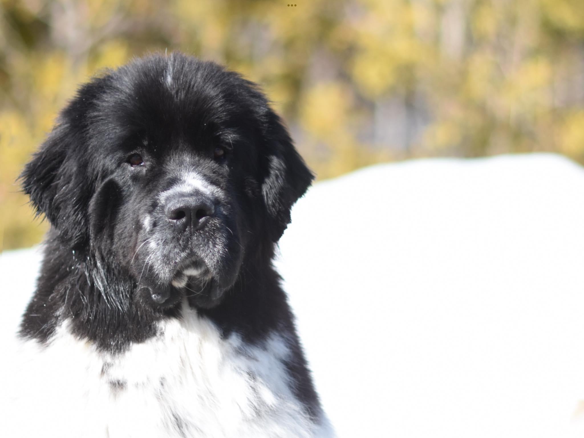 0EC0AB53-1F54-40A6-8F9A-0033E7DD93C5