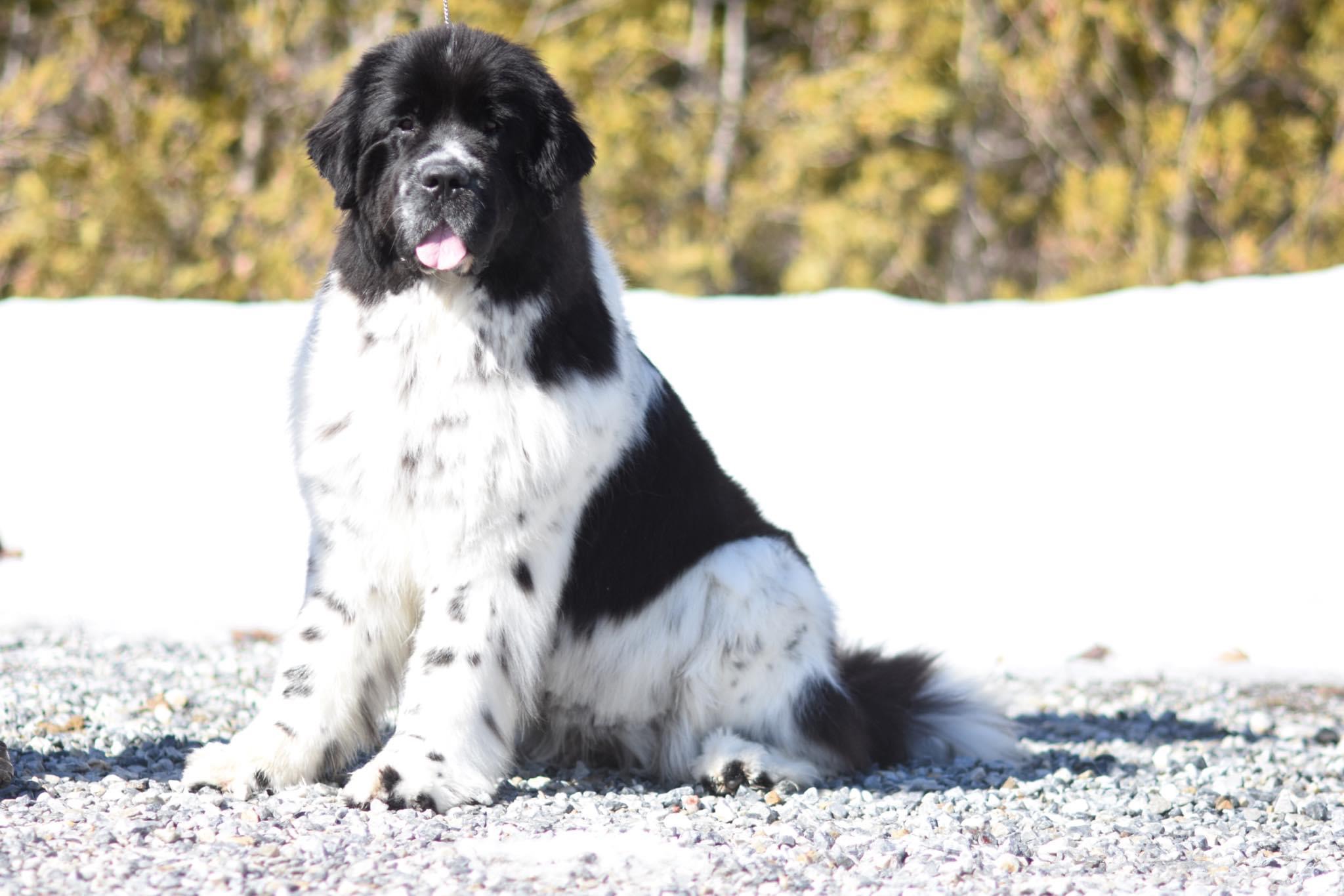 1AA71329-D6B1-4A7C-9D10-DDD4CA266271