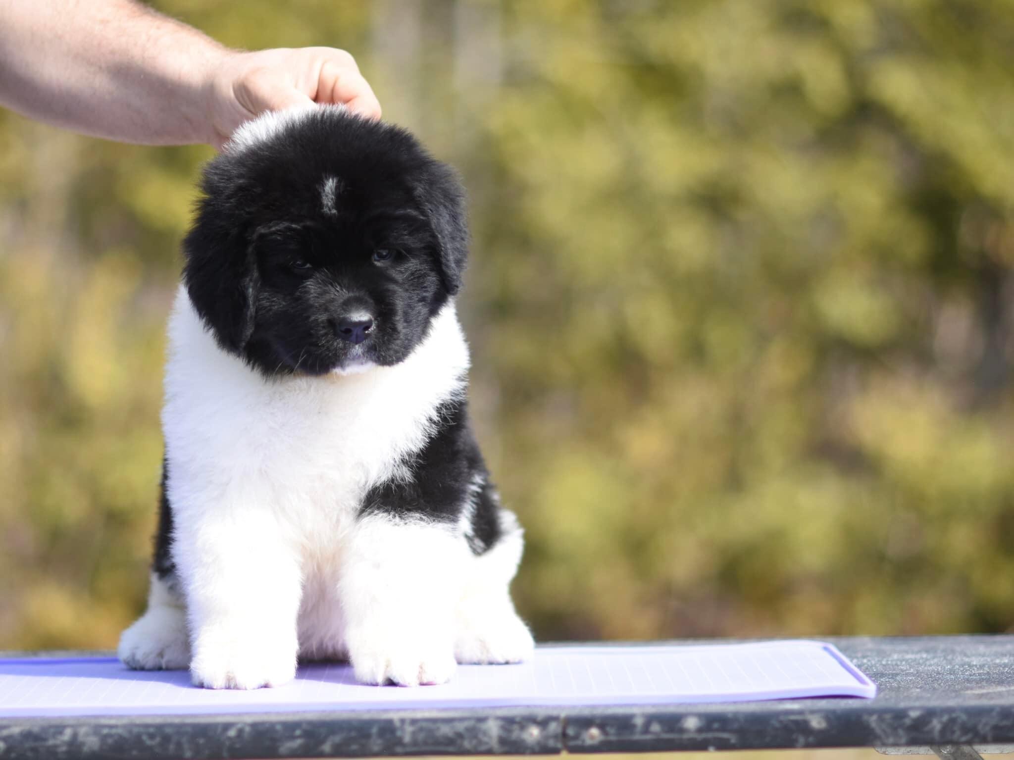 1EFEC9D0-61CD-4D0C-ABD2-91B18307A628