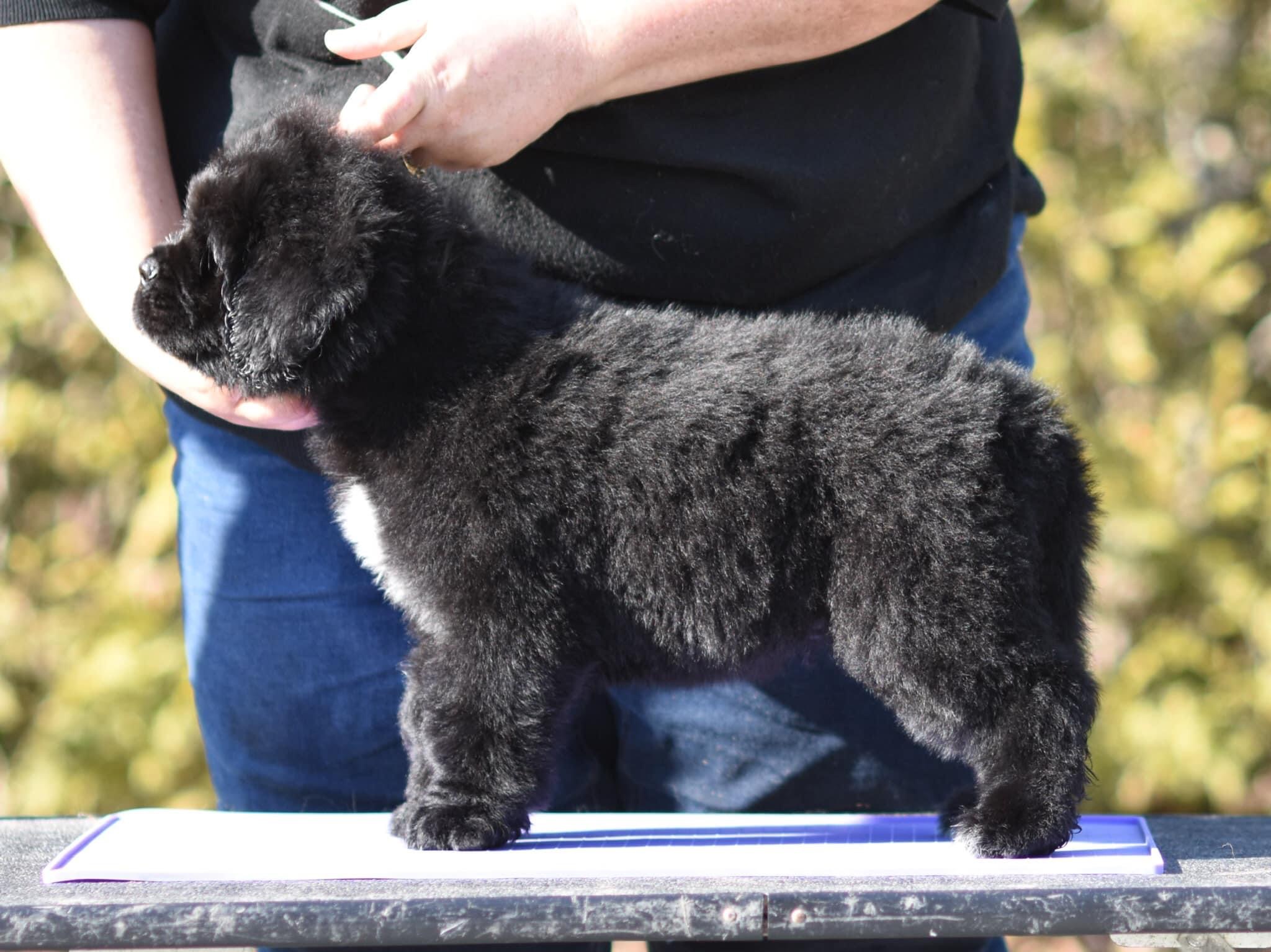 2A75CC87-2FB9-4E3C-B0AD-98CD6361963B