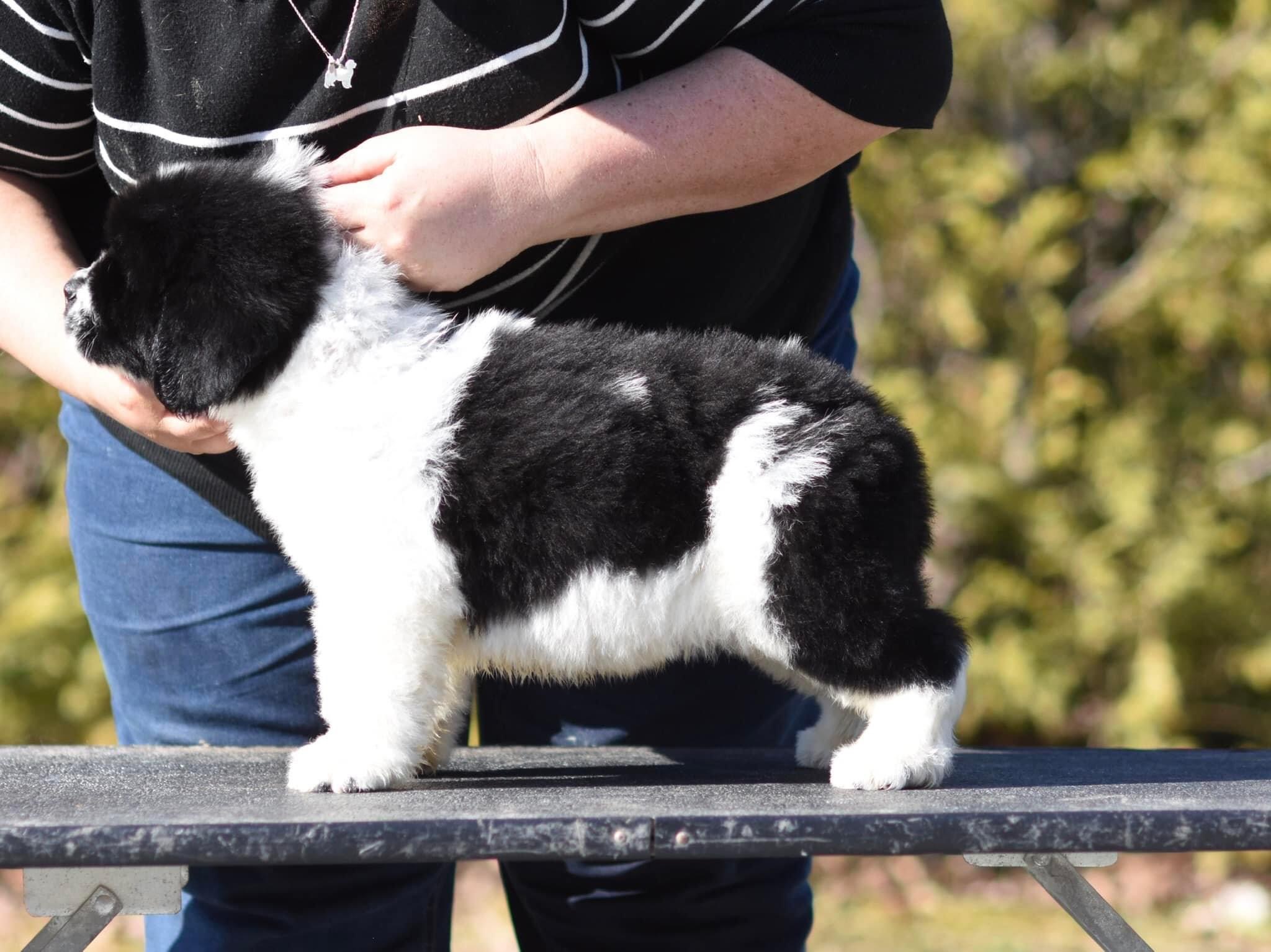 33091AFC-C973-4377-88A6-A6BD83271A99